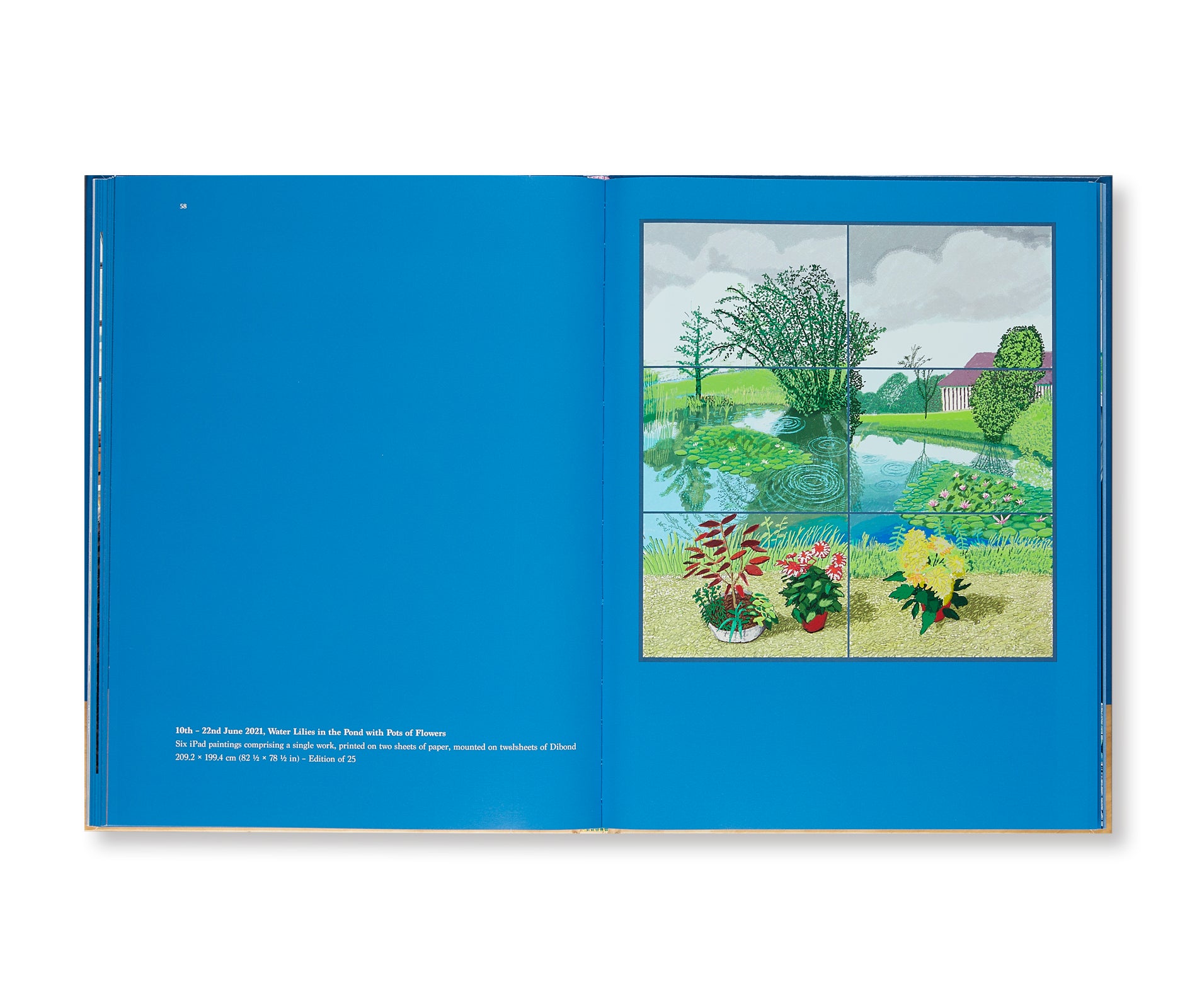 20 FLOWERS AND SOME BIGGER PICTURES by David Hockney