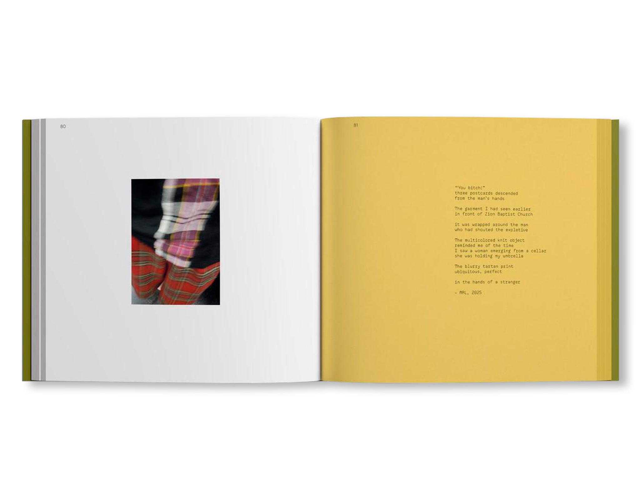 A LANDSCAPE SHREDDED by Molly Rose Lieberman