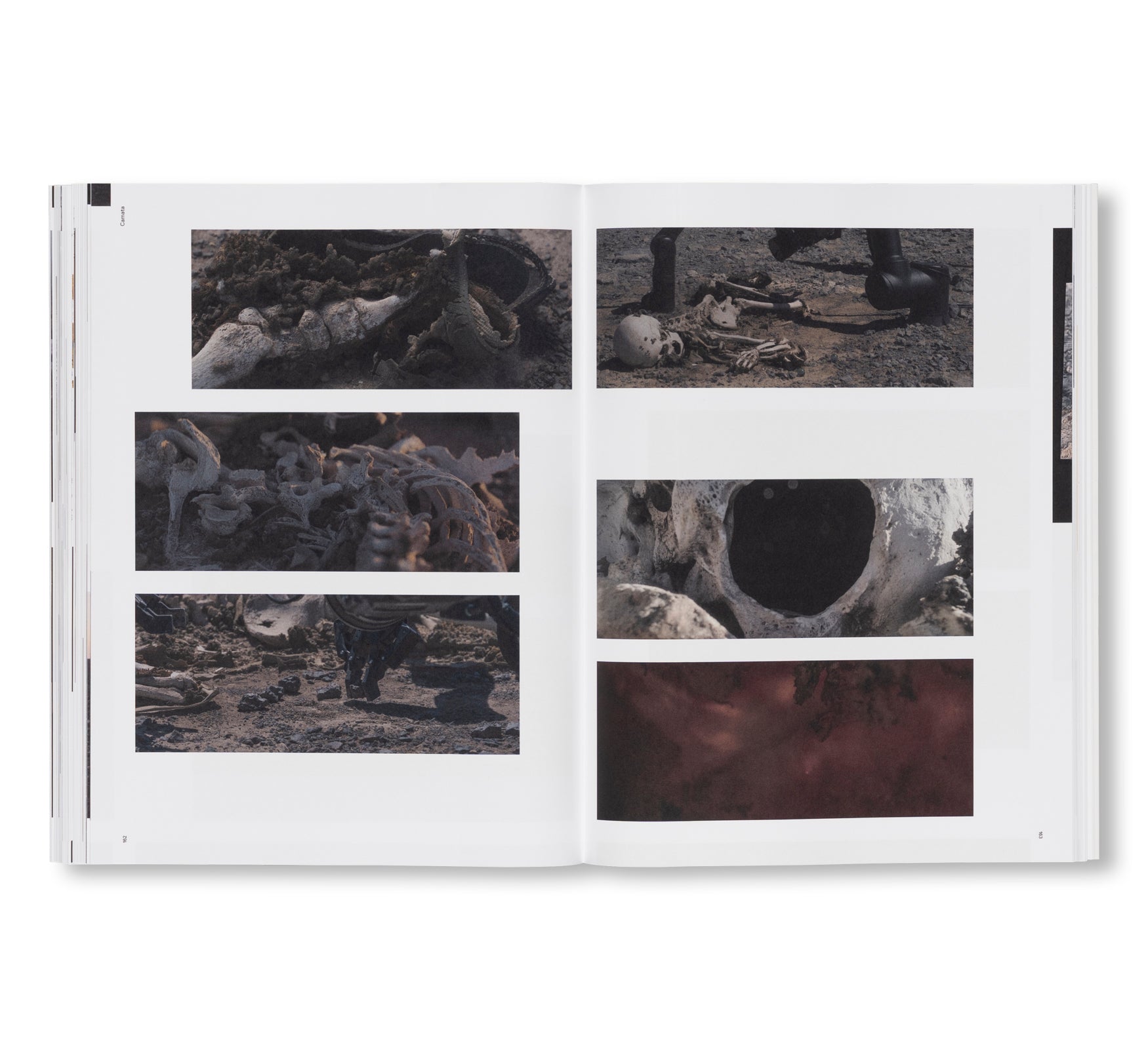 PIERRE HUYGHE by Pierre Huyghe (HATJE CANTZ)