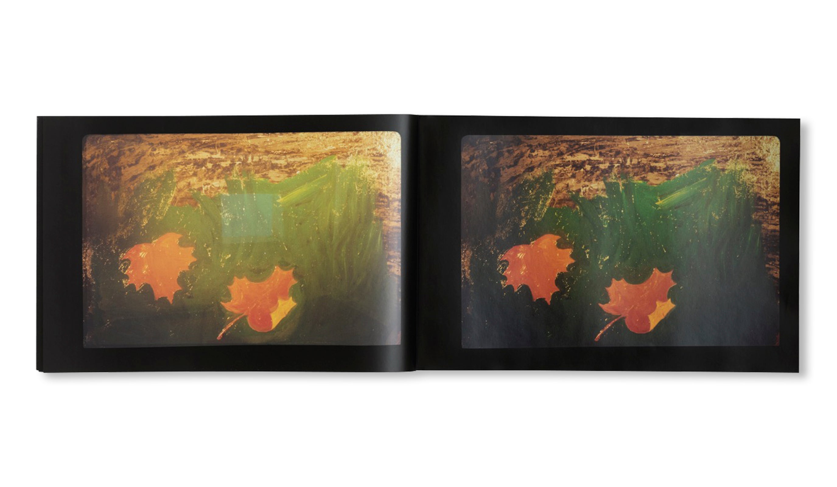 SLIDES OF A CHANGING PAINTING by Robert Gober