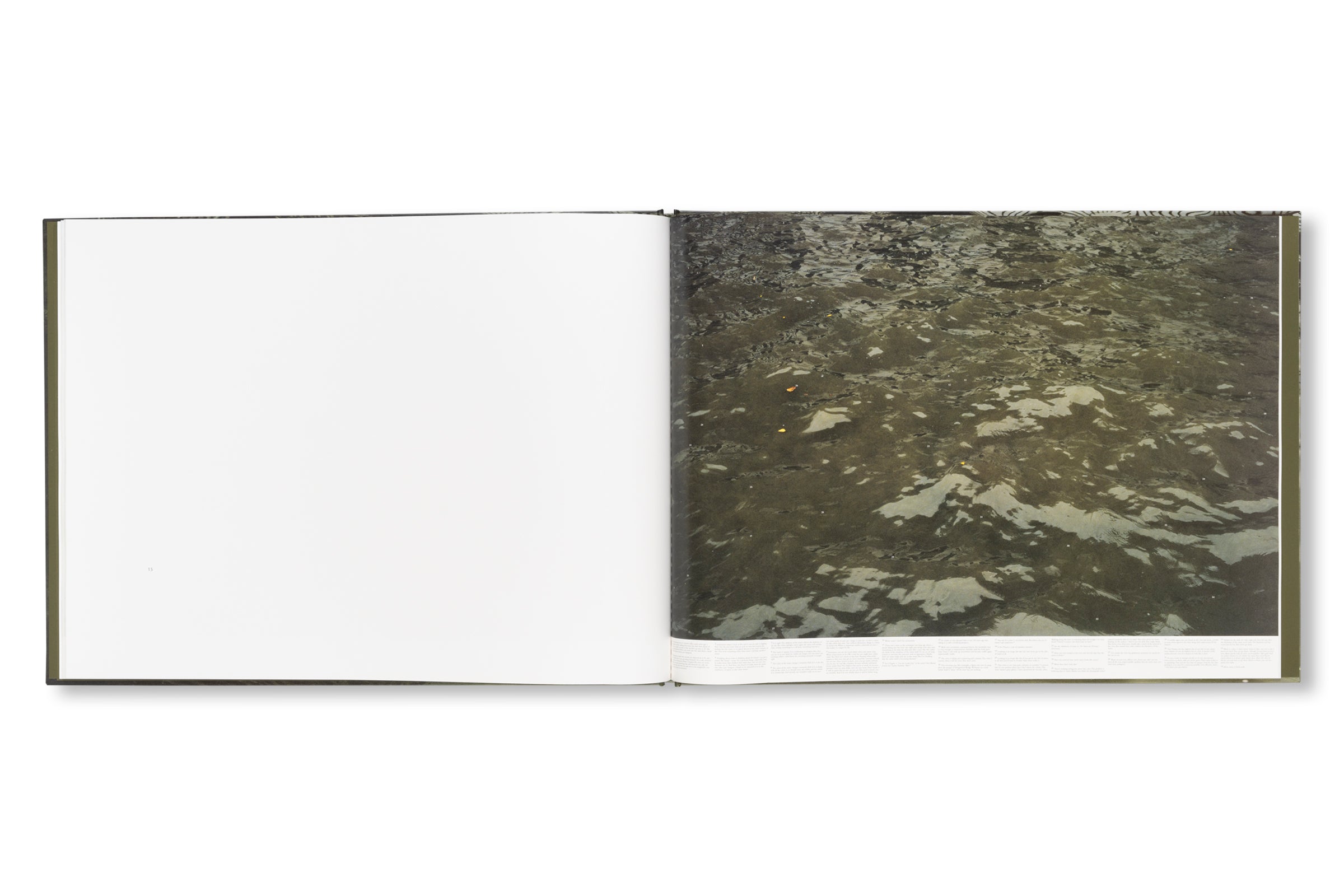 STILL WATER by Roni Horn