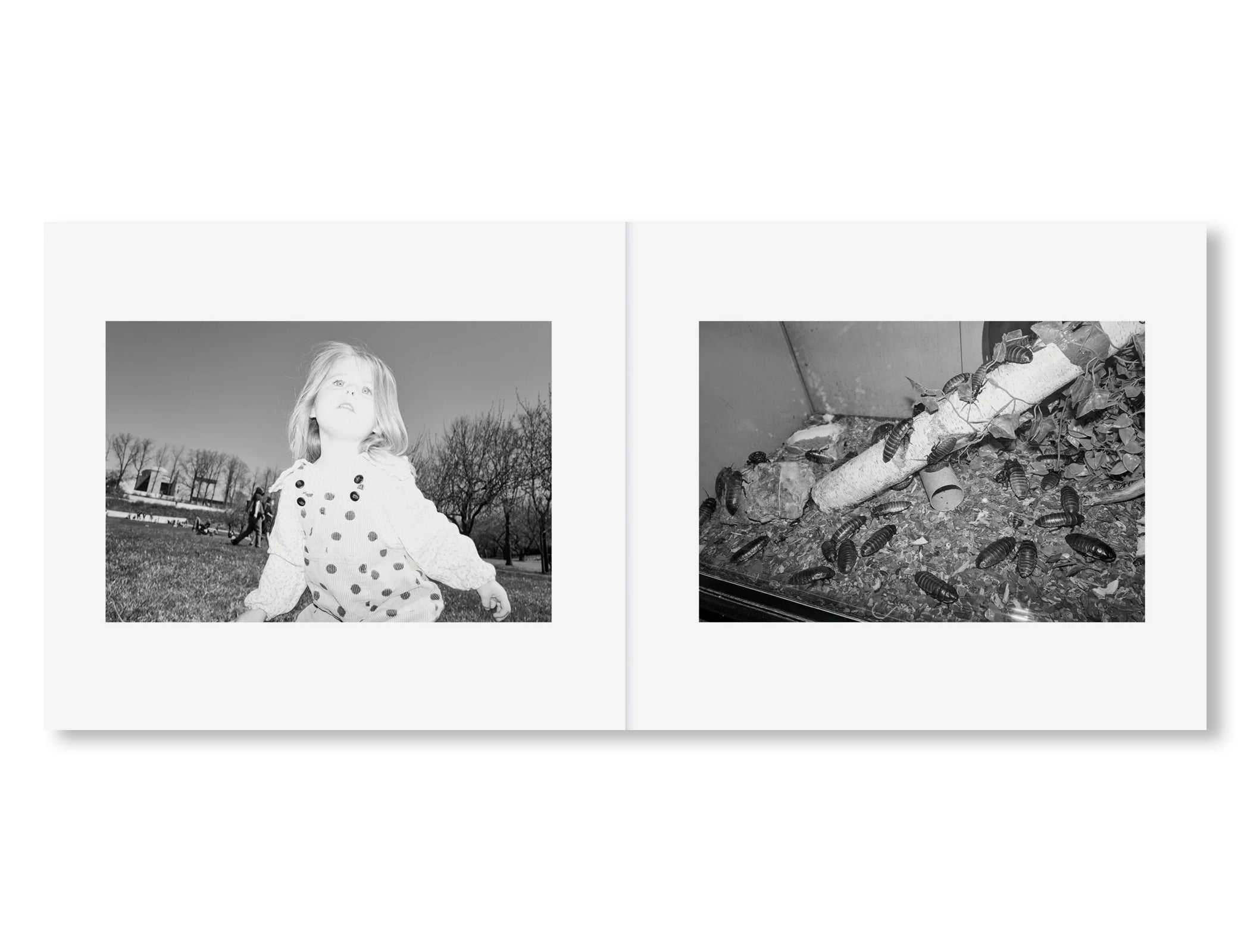 COINCIDENCE by Jeremy Liebman