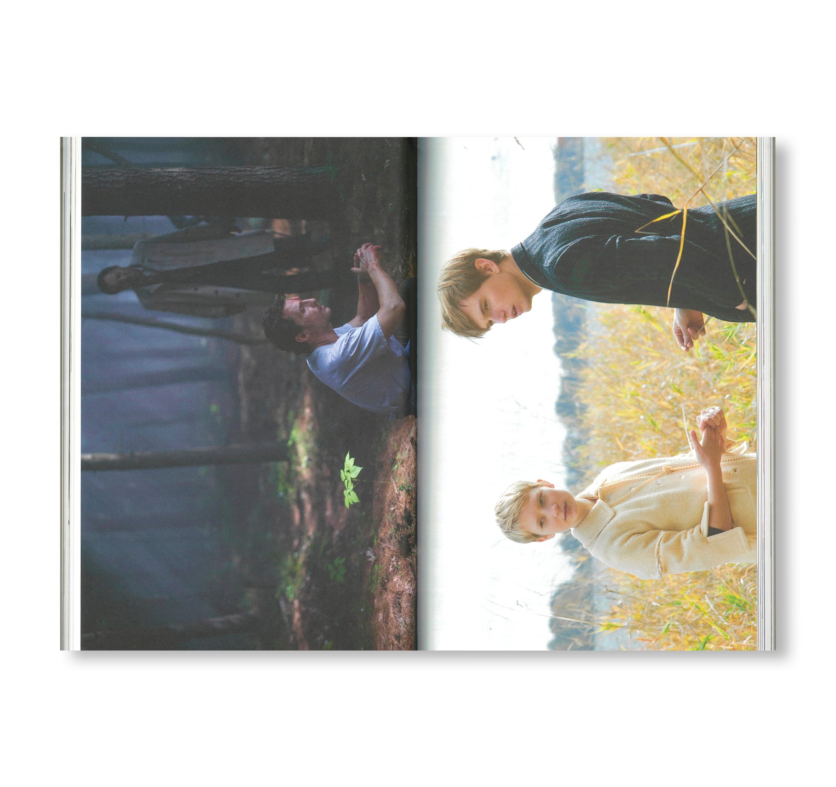 GUS VAN SANT: ICONS by Gus Van Sant