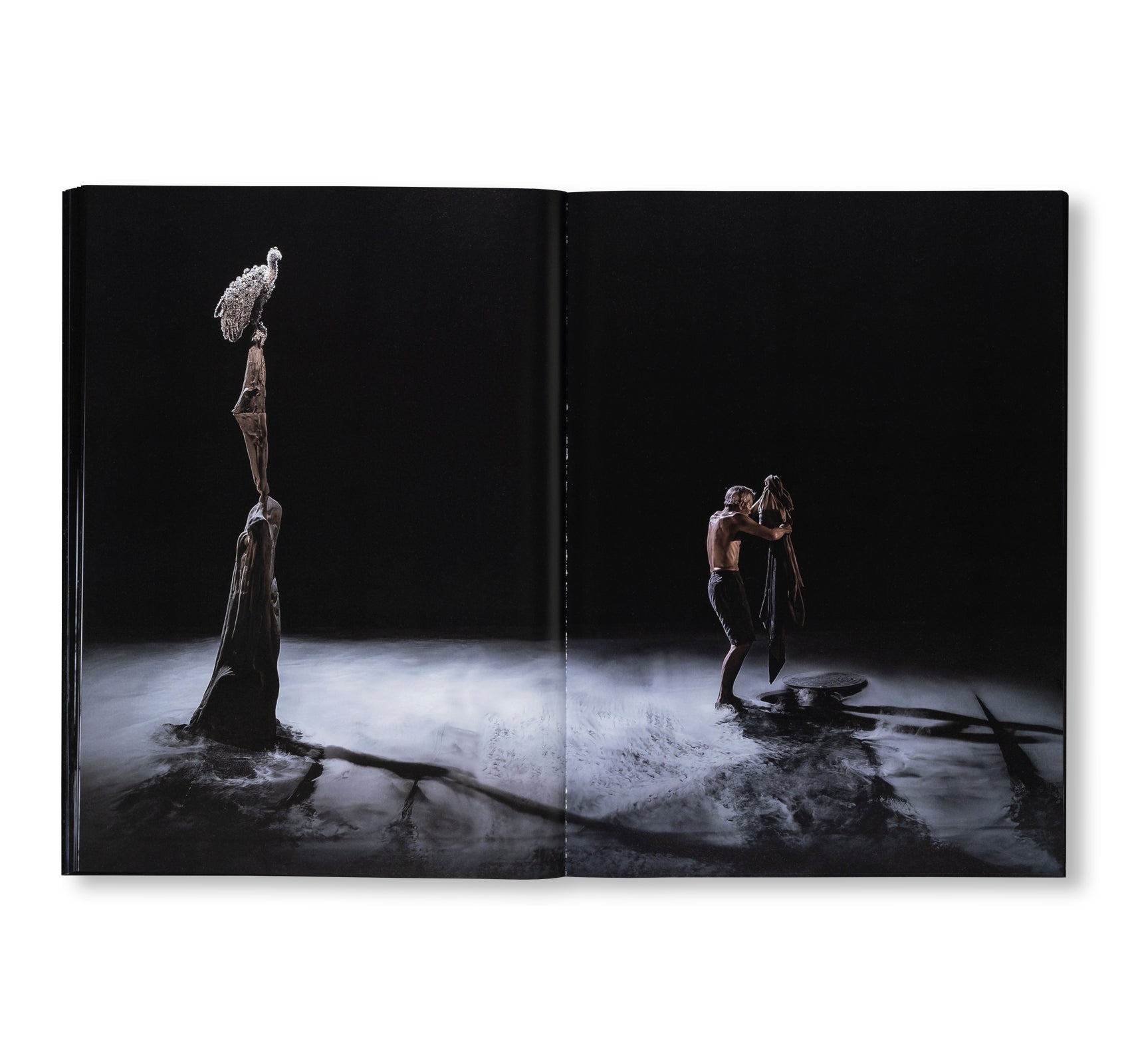 FROM THE EDGE 彼岸より by Min Tanaka, Kohei Nawa