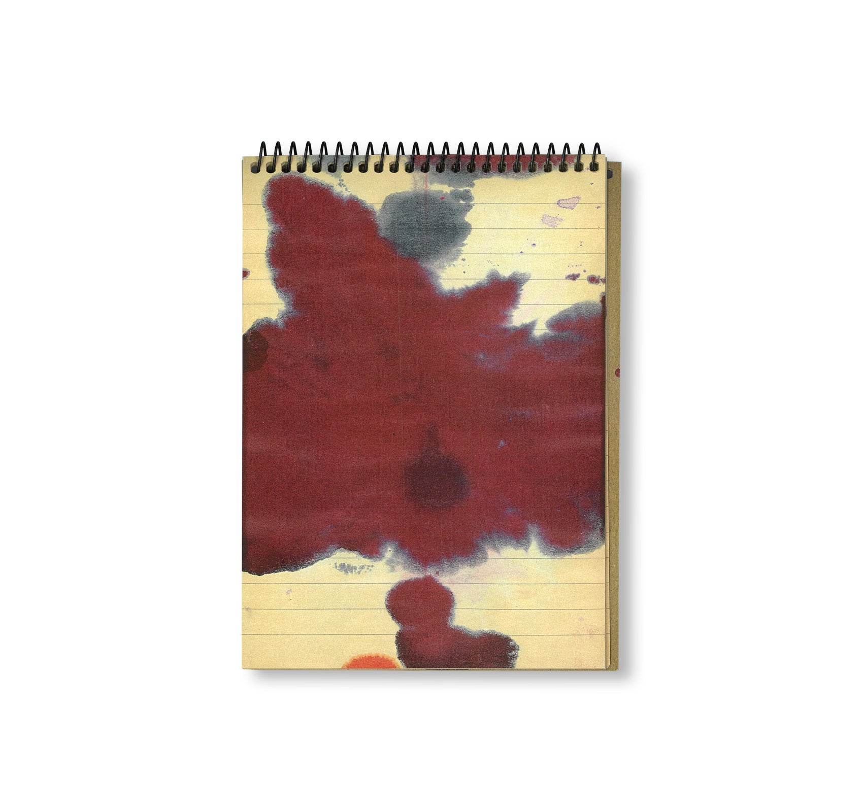 STENOGRAMME by Sigmar Polke [NUMBERED]
