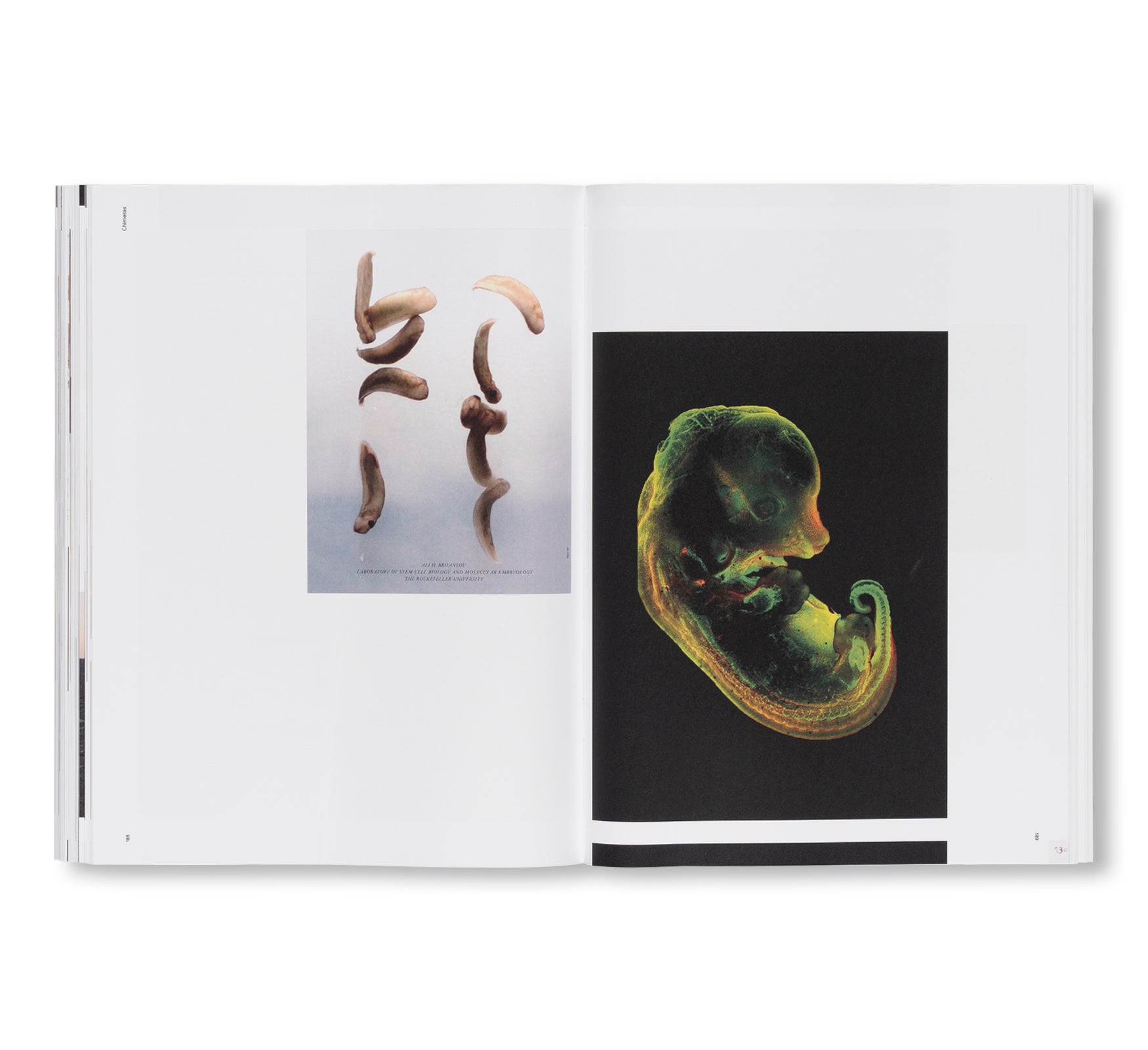 PIERRE HUYGHE by Pierre Huyghe (HATJE CANTZ)