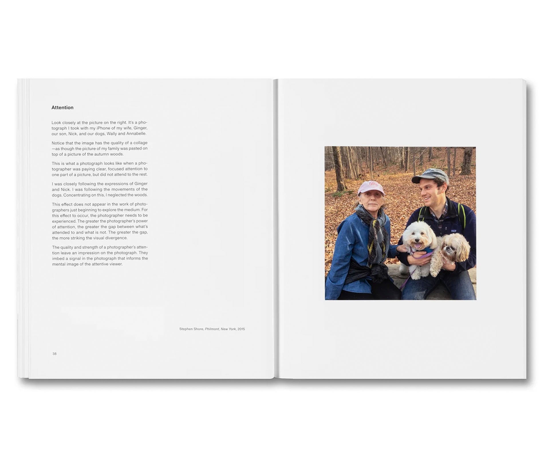THE MENTAL IMAGE by Stephen Shore
