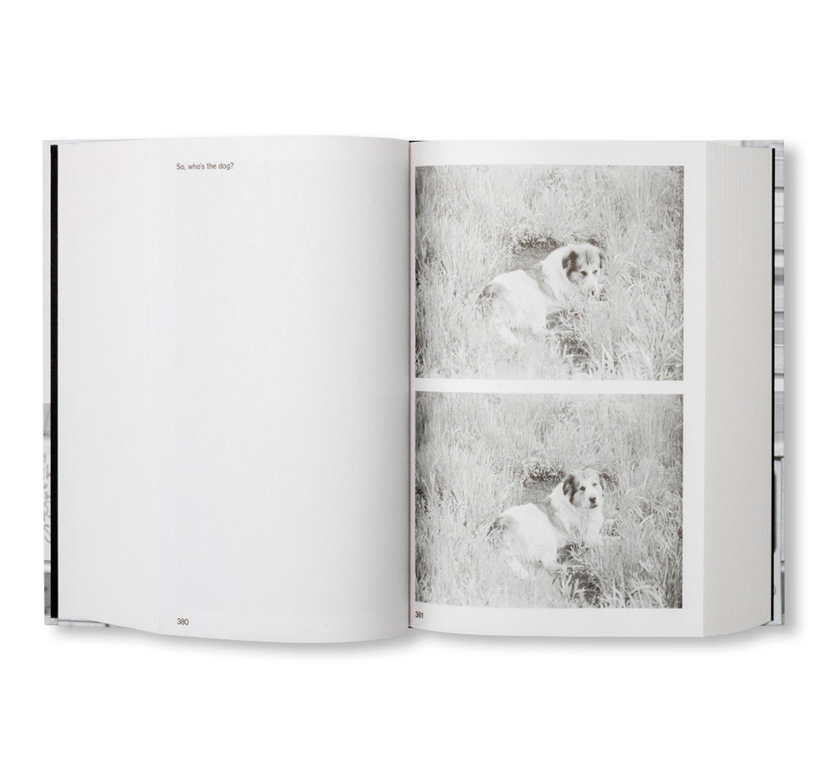 PASSING THROUGH MOVING IN AND GETTING AWAY WITH IT: GORDON MATTA-CLARK NEW YORK CITY GRAFFITI PHOTOGRAPHS, 1972–73 by Gordon Matta-Clark [SECOND PRINTING]