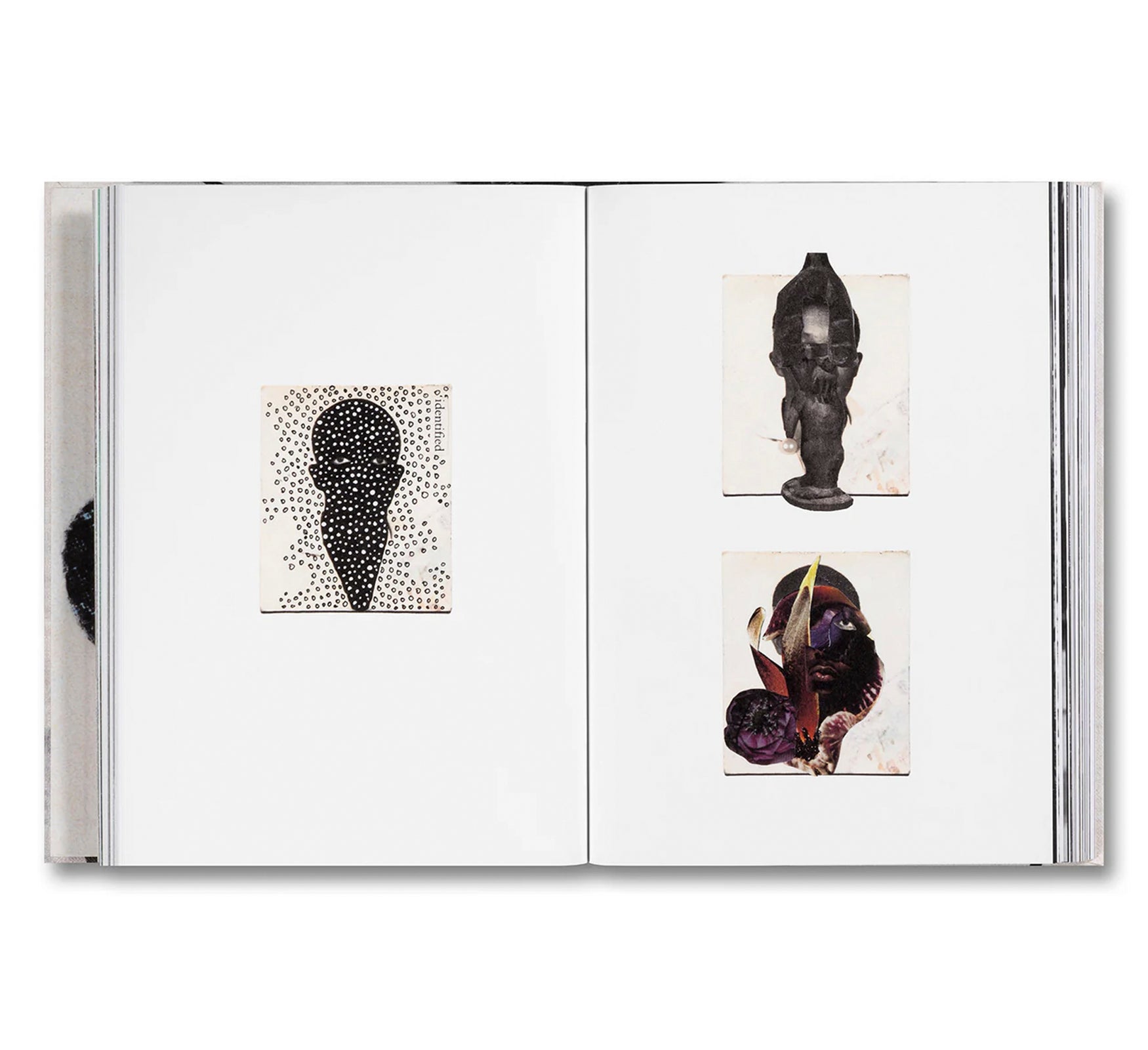 PASSPORTS by Keisha Scarville