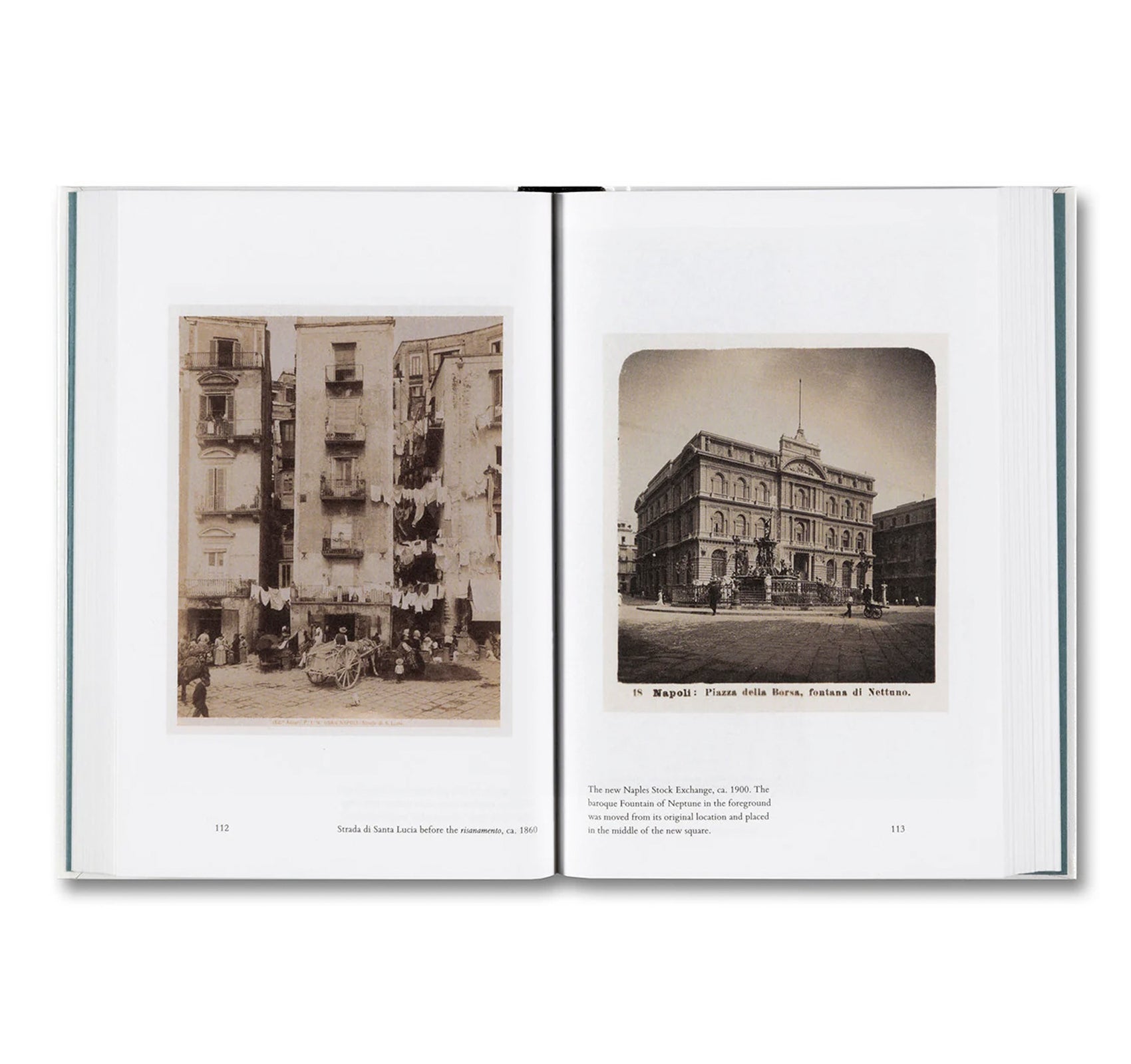 TERRA INFECTA: DISEASE AND THE ITALIAN LANDSCAPE by Andrea Bagnato