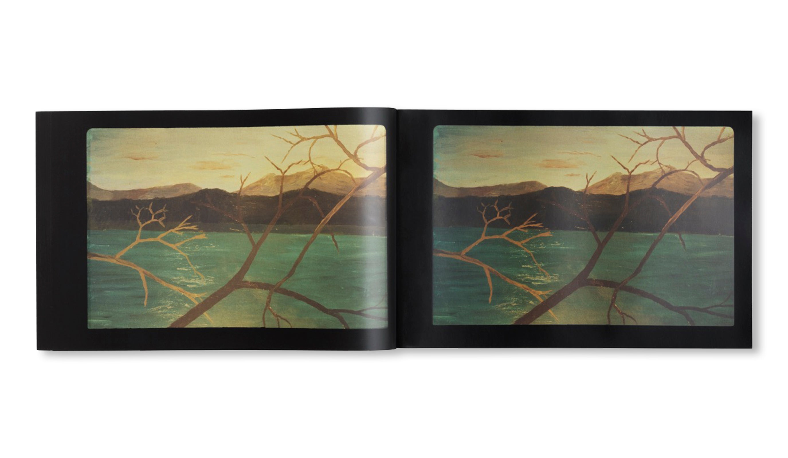 SLIDES OF A CHANGING PAINTING by Robert Gober
