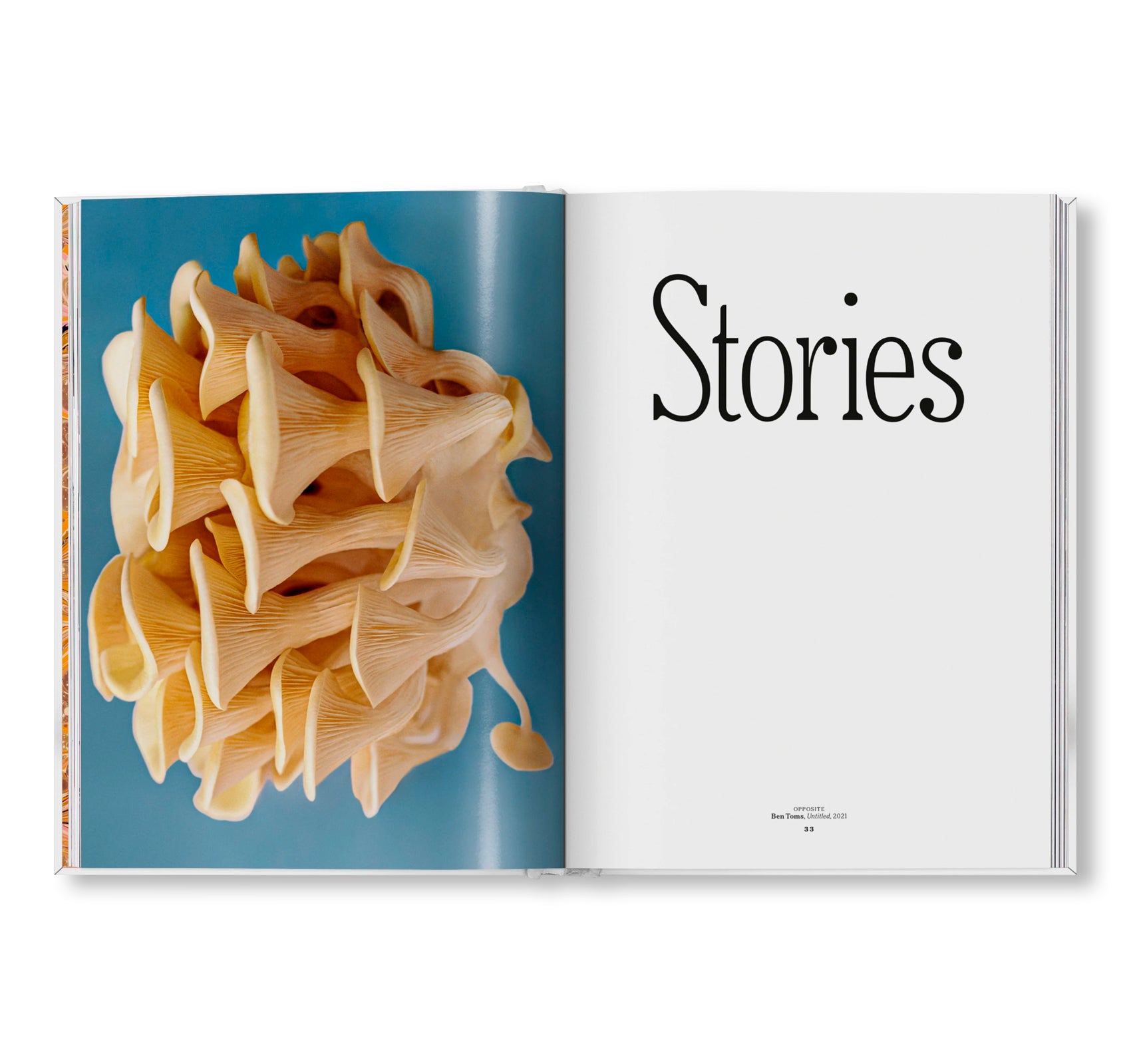 THE GOURMAND'S MUSHROOM. A COLLECTION OF STORIES AND RECIPES by The Gourmand