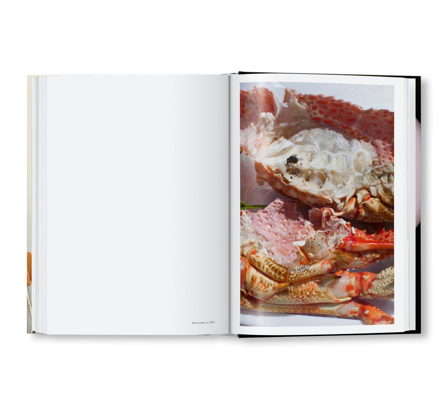 WOLFGANG TILLMANS FOUR BOOKS by Wolfgang Tillmans [ENGLISH / 45TH EDITION]