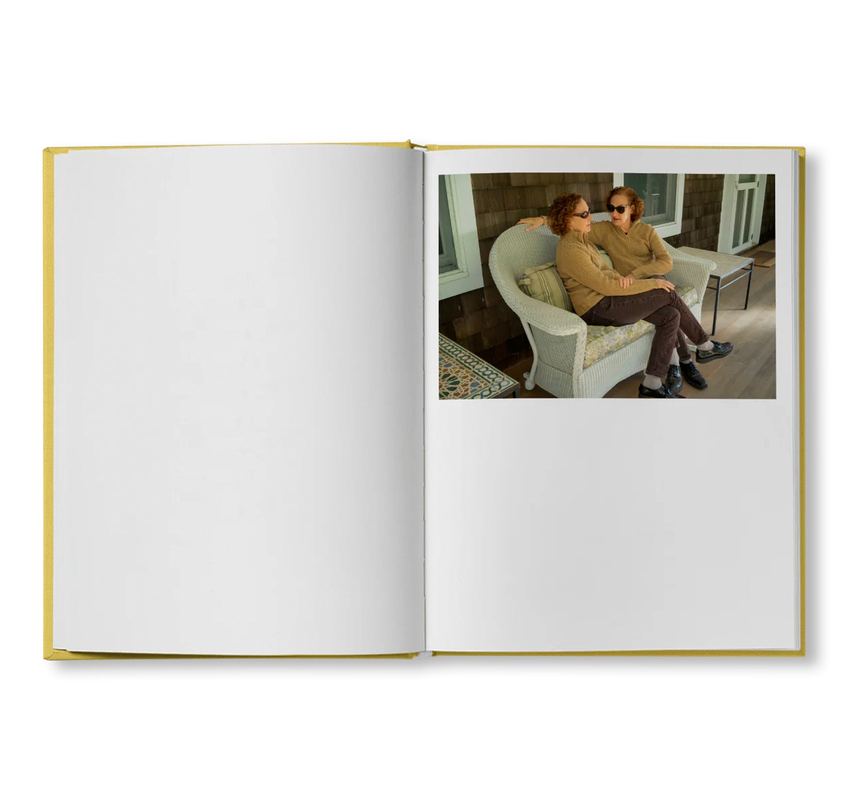 IRREVERSIBLE ORDER by Lisa Donneson