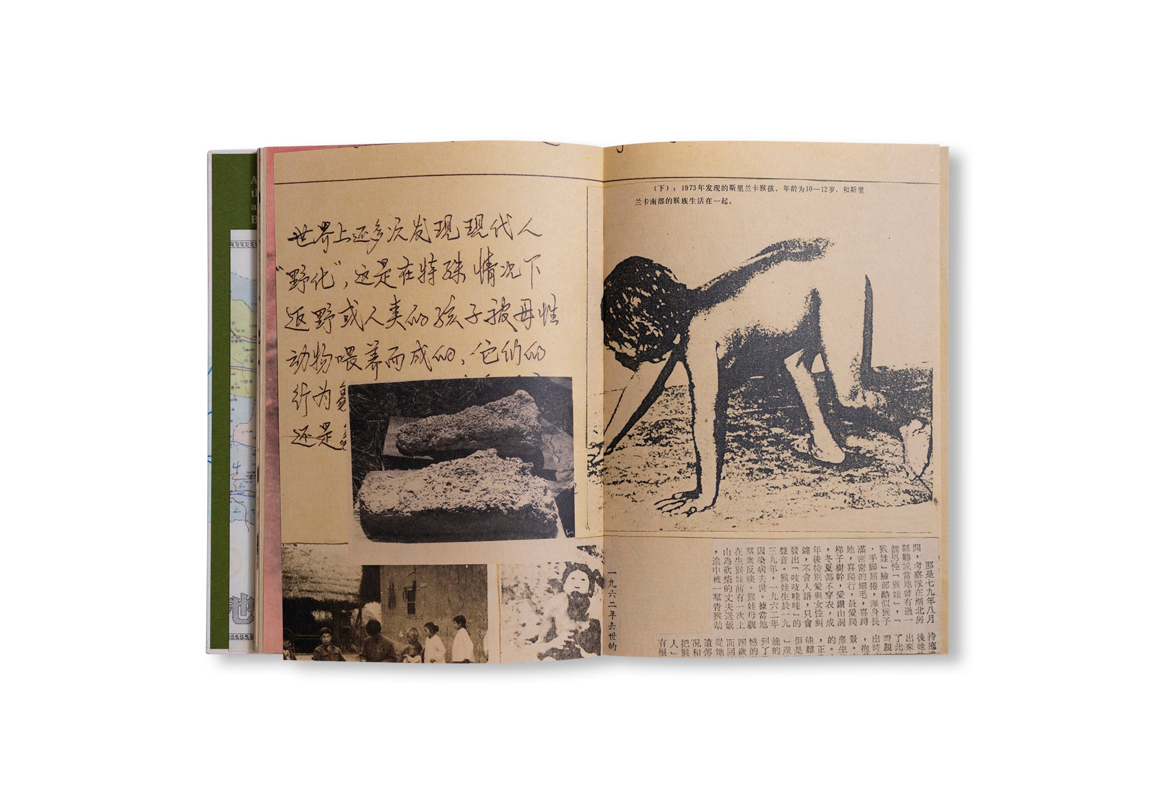 WILDMAN FEVER! by Ruben Lundgren