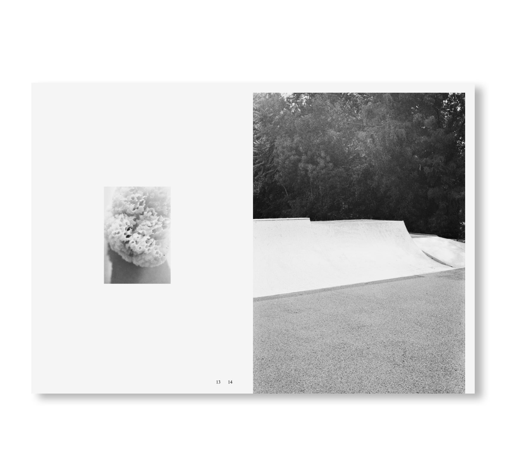 CRAFT by Michel Mazzoni