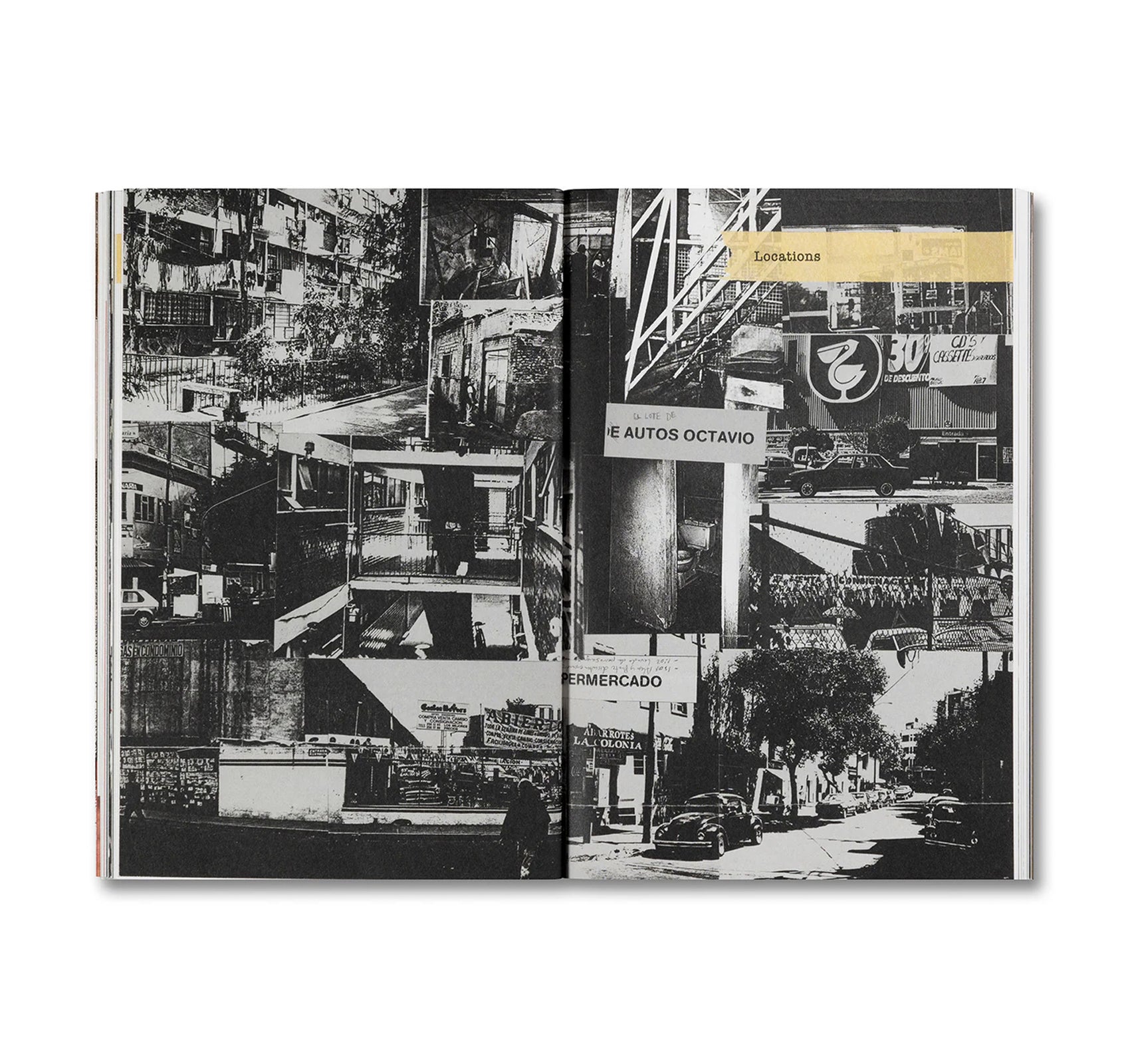 UNLEASHING AMORES PERROS by Fernando Llanos [ENGLISH EDITION]