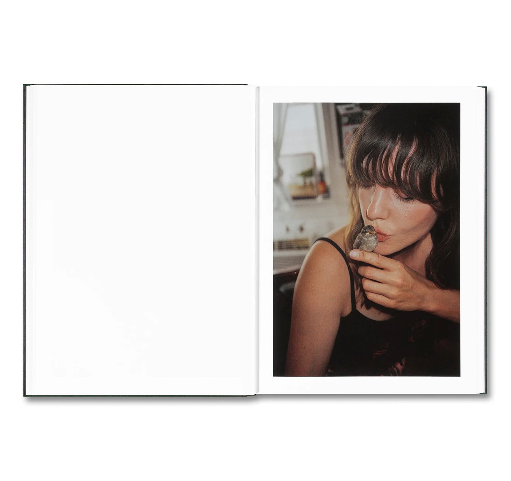 HOW ABOUT NEVER by Jerry Hsu [SIGNED]