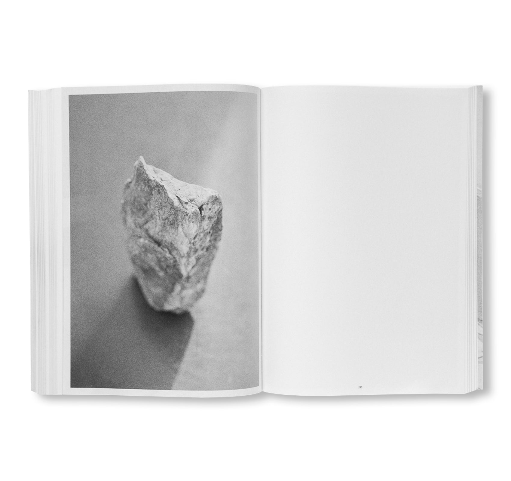 RIEN, PRESQUE by Michel Mazzoni