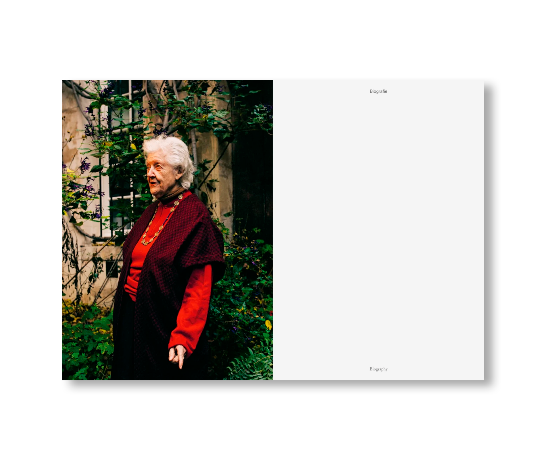A LITTLE BIT OF A LOT OF THINGS by Sheila Hicks