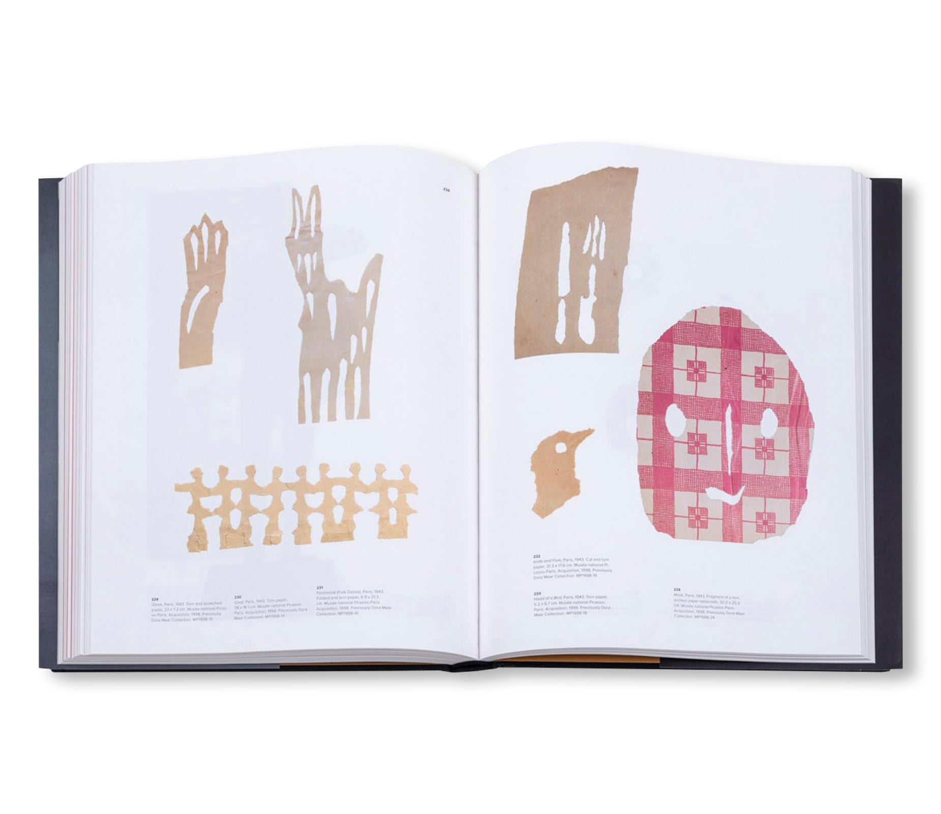 PICASSO AND PAPER by Pablo Picasso [SOFTCOVER]