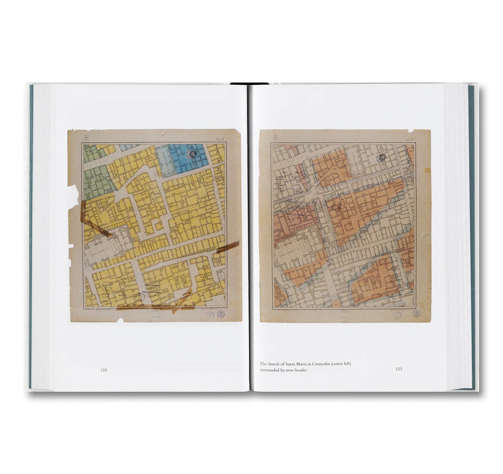 TERRA INFECTA: DISEASE AND THE ITALIAN LANDSCAPE by Andrea Bagnato