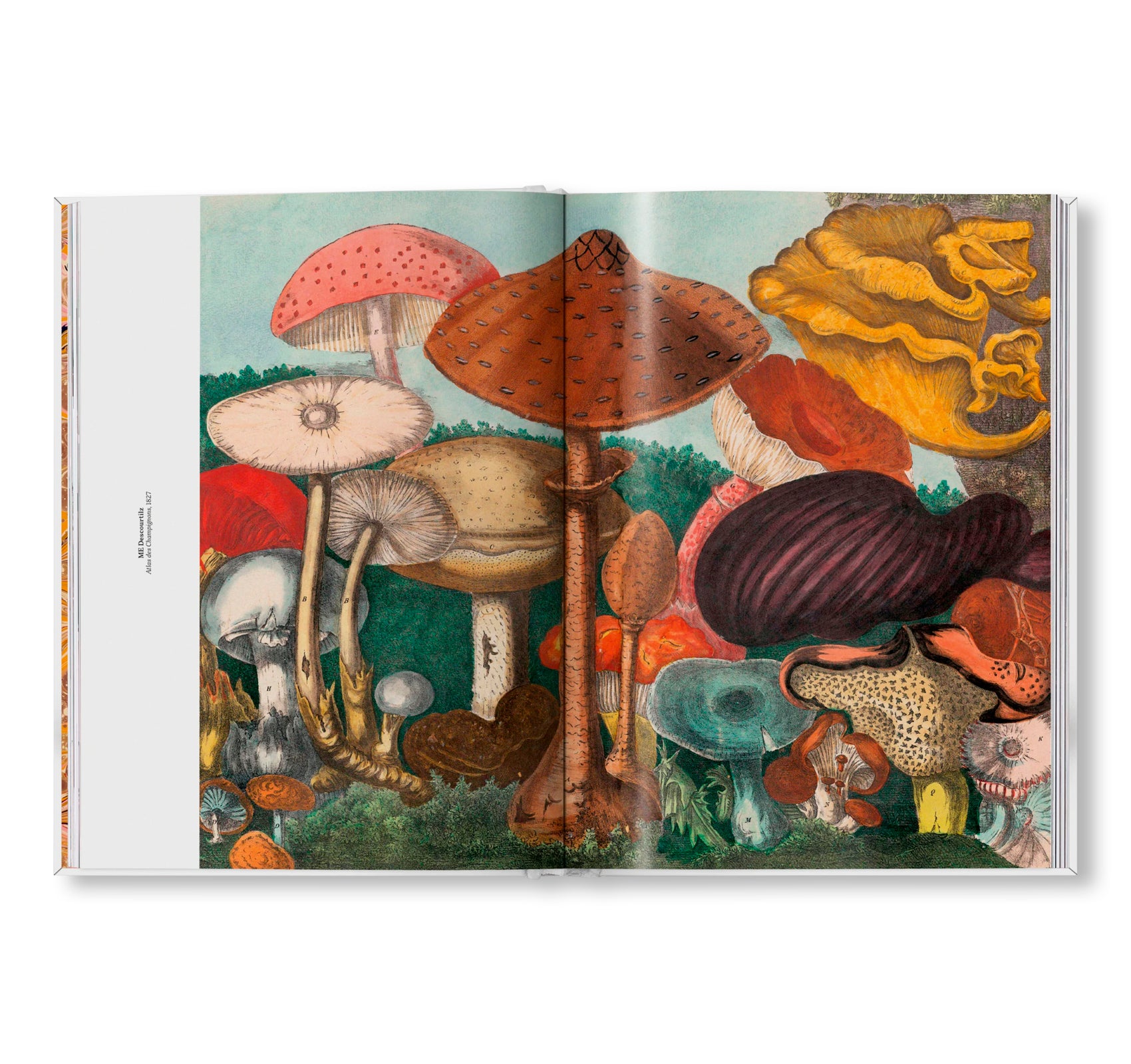 THE GOURMAND'S MUSHROOM. A COLLECTION OF STORIES AND RECIPES by The Gourmand