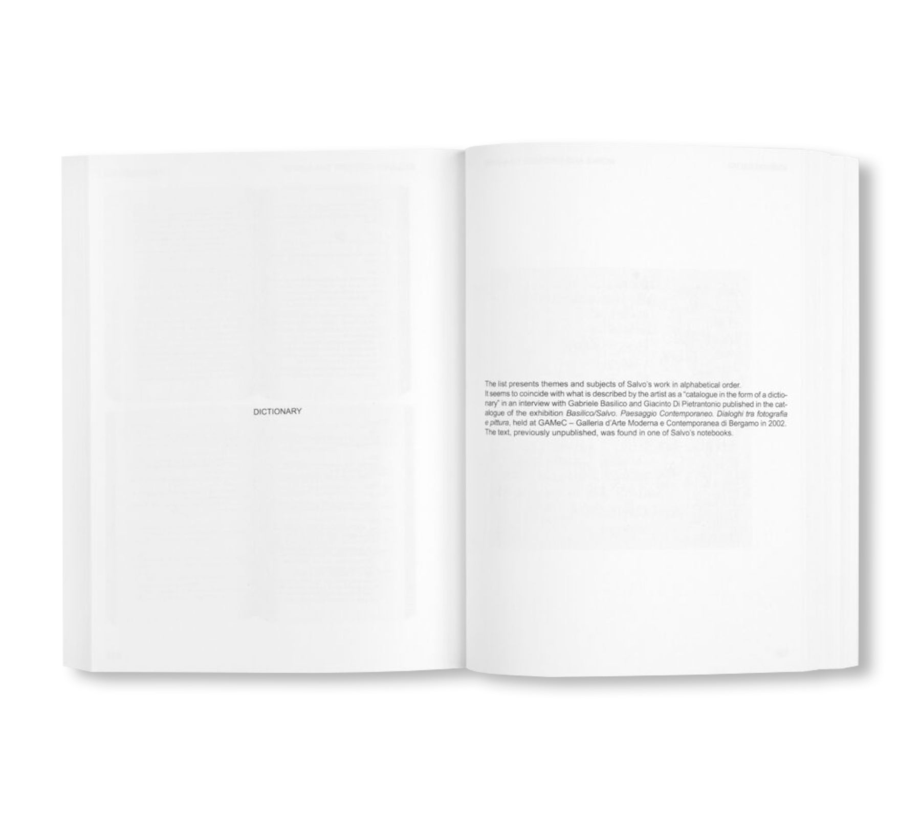 IO SONO SALVO - WORKS AND WRITINGS 1961-2015 by Salvatore Mangione (Salvo)