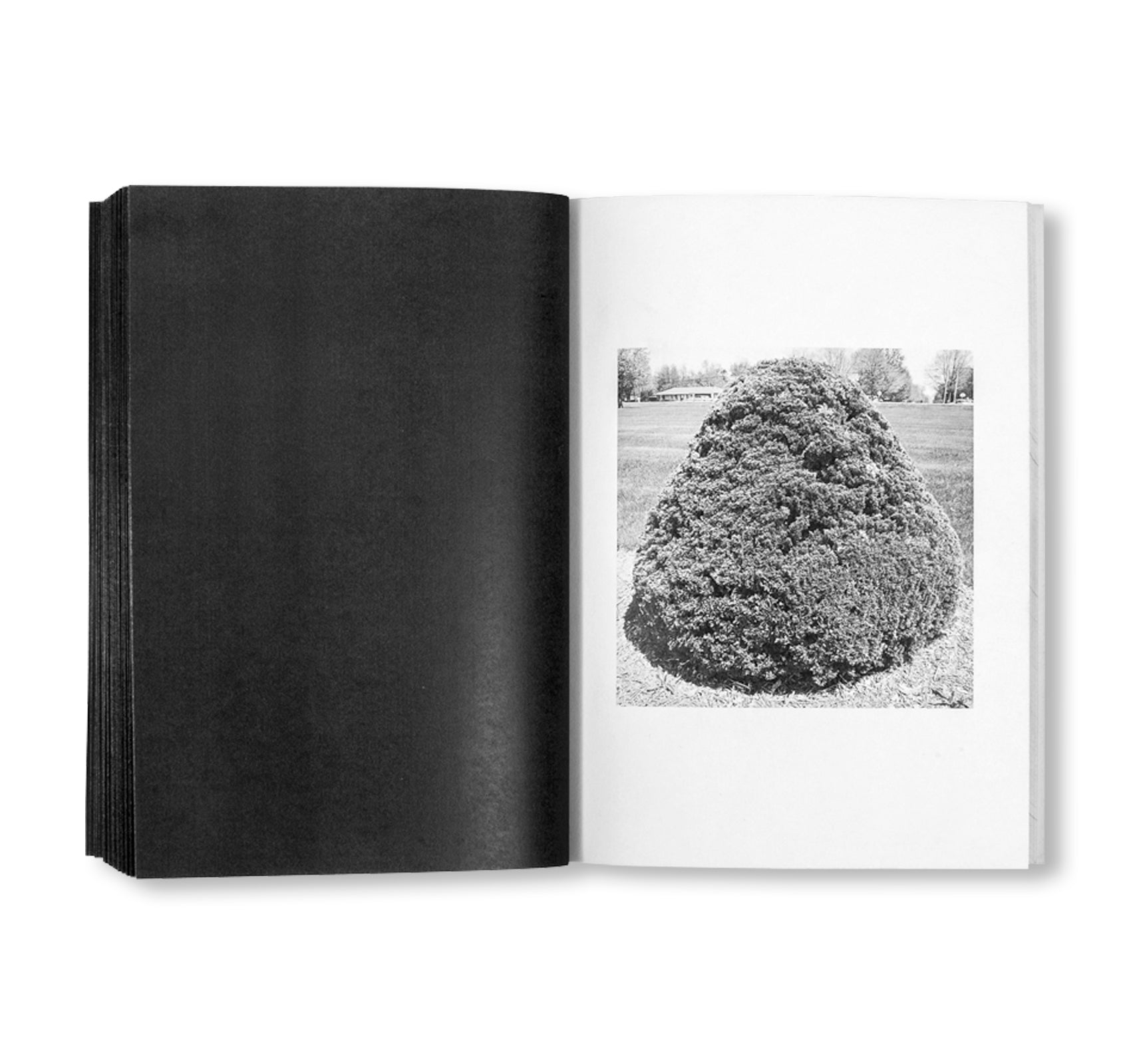 SHRUBS OF DEATH by Mike Slack [ENGLISH COVER / SIGNED]