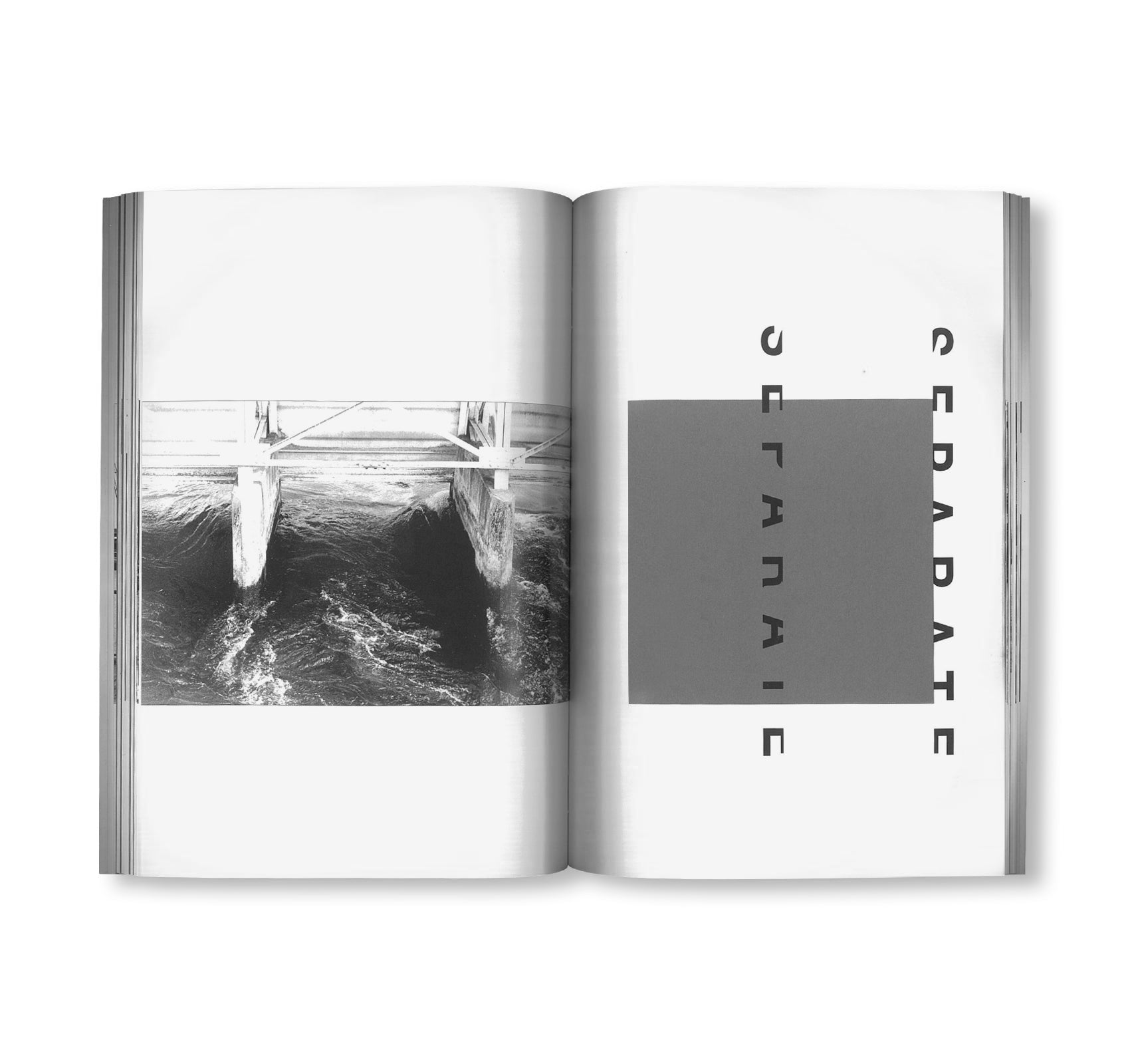 MANY by Peter Downsbrough