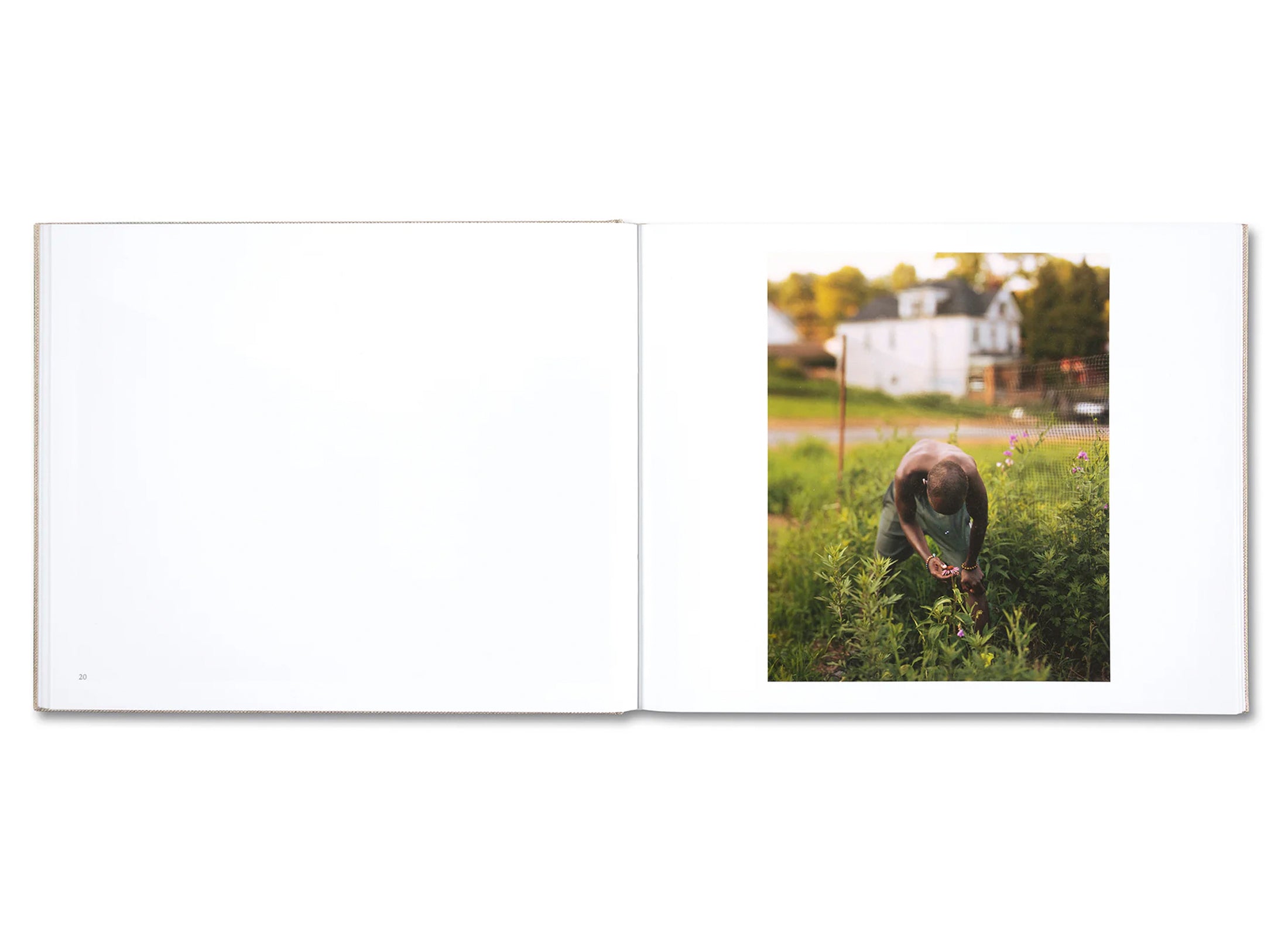 A POUND OF PICTURES by Alec Soth
