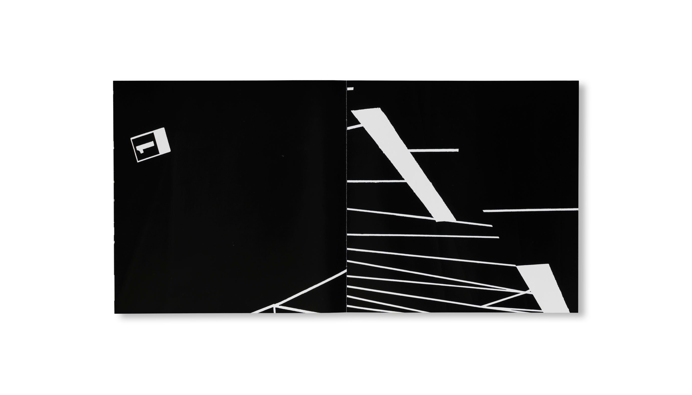 DANČE DELUXE by Olaf Nicolai, Mariana Pende