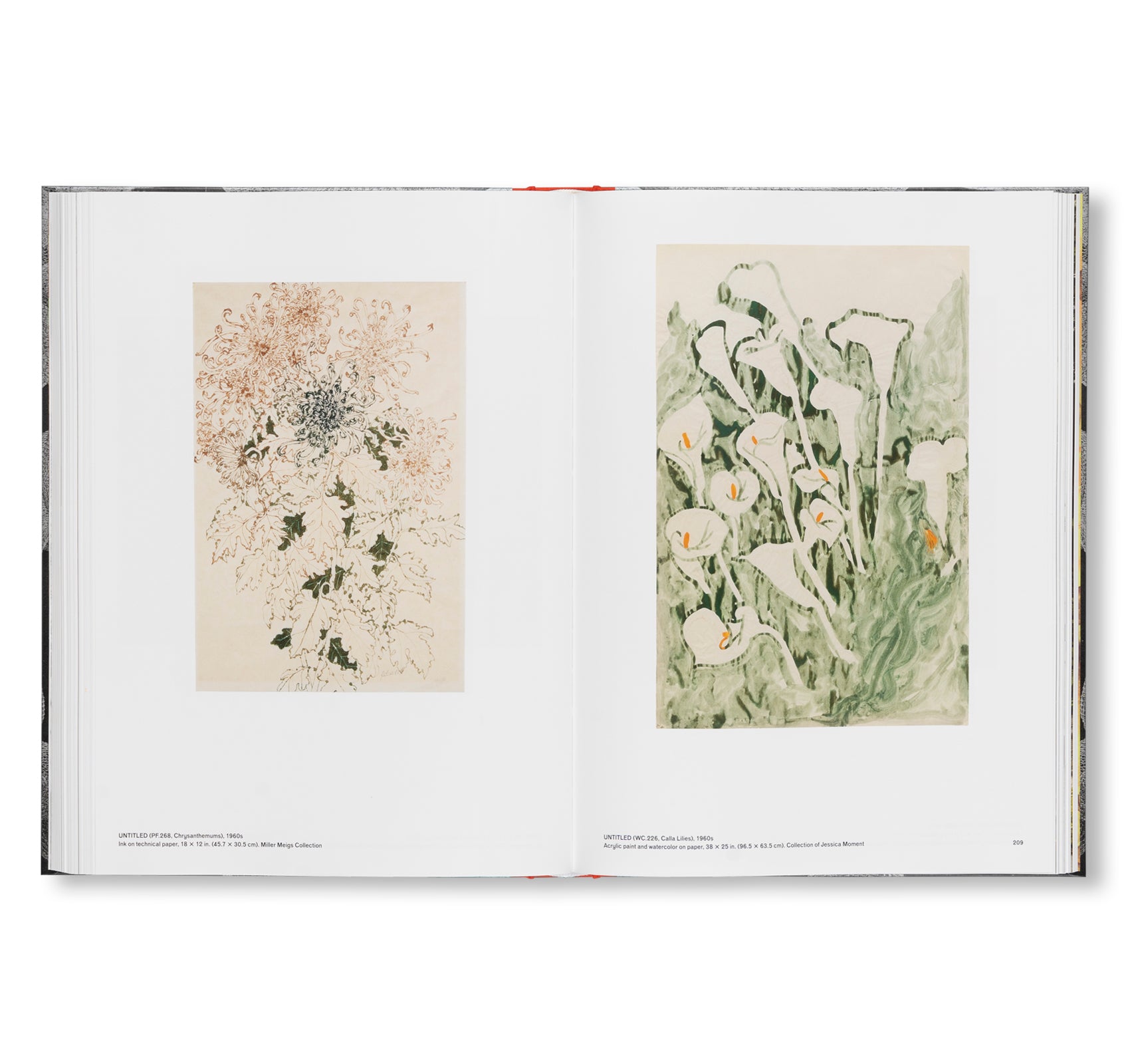 RETROSPECTIVE by Ruth Asawa