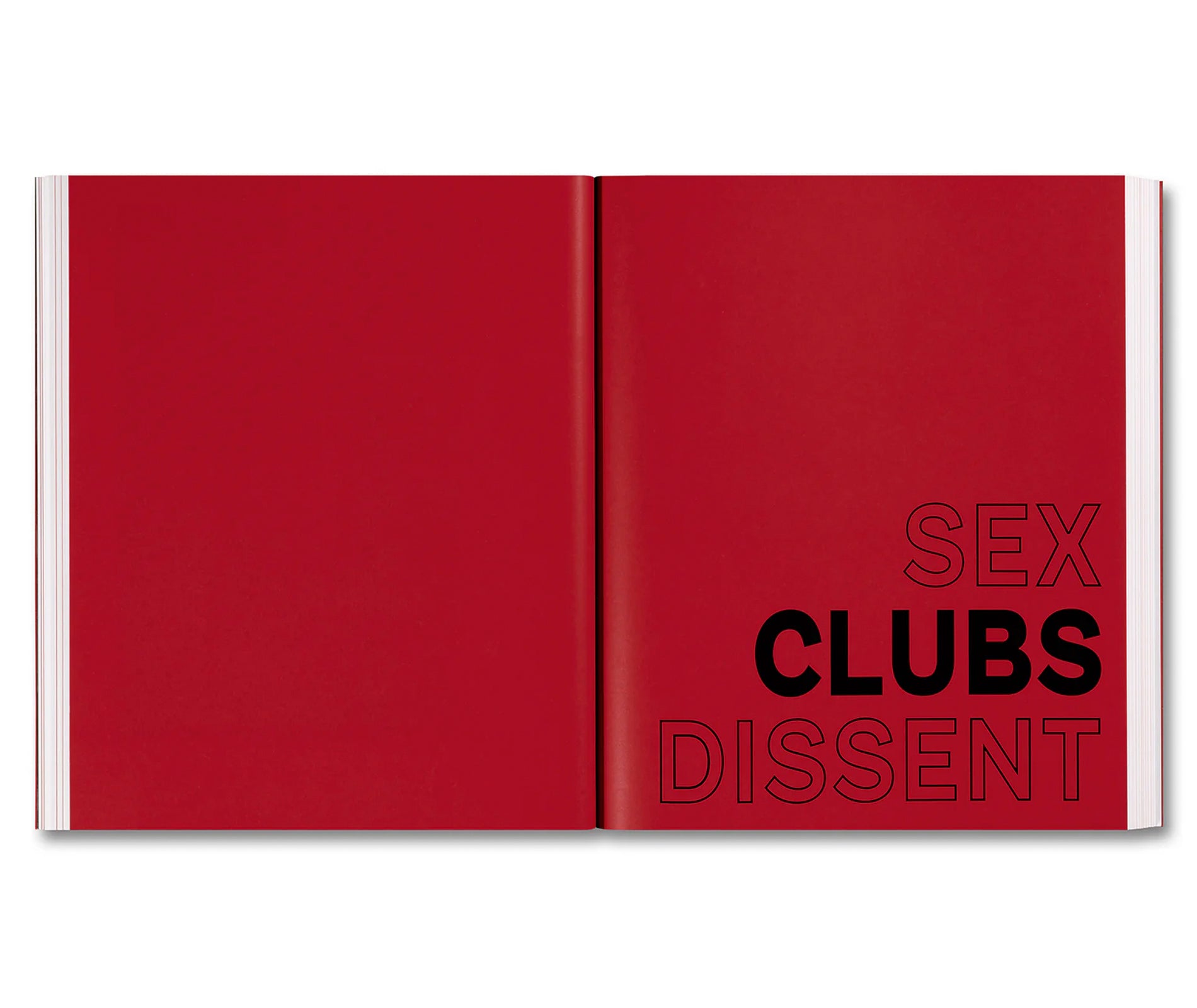 SEX, CLUBS, DISSENT: VISUALISING QUEER NIGHTLIFE by Amelia Abraham