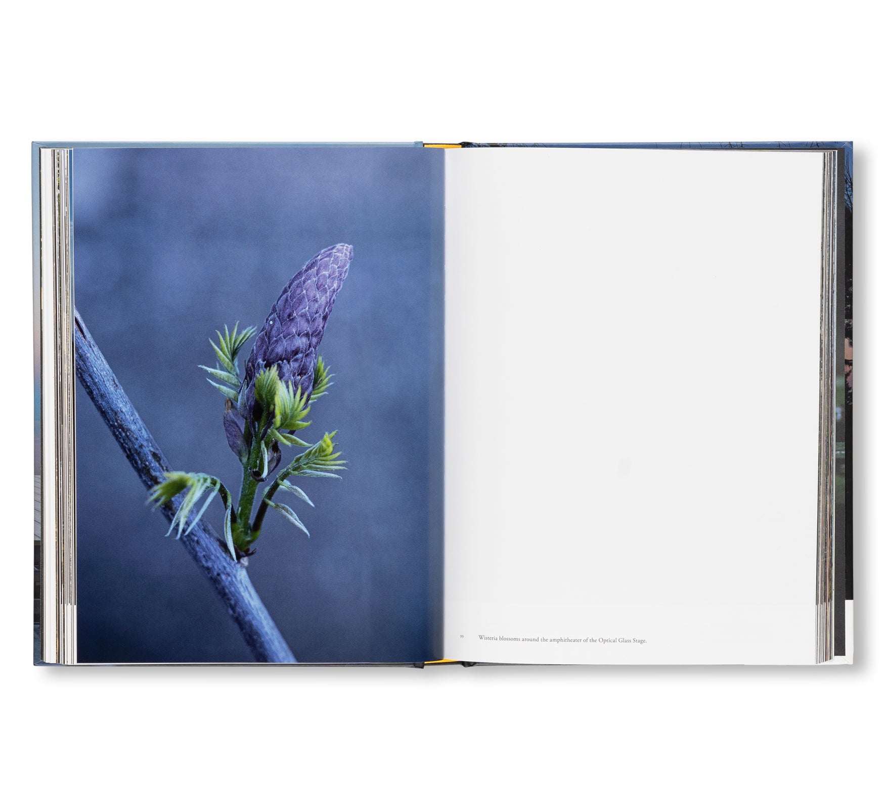 ENOURA OBSERVATORY: LAND OF DISTANT MEMORIES by Hiroshi Sugimoto