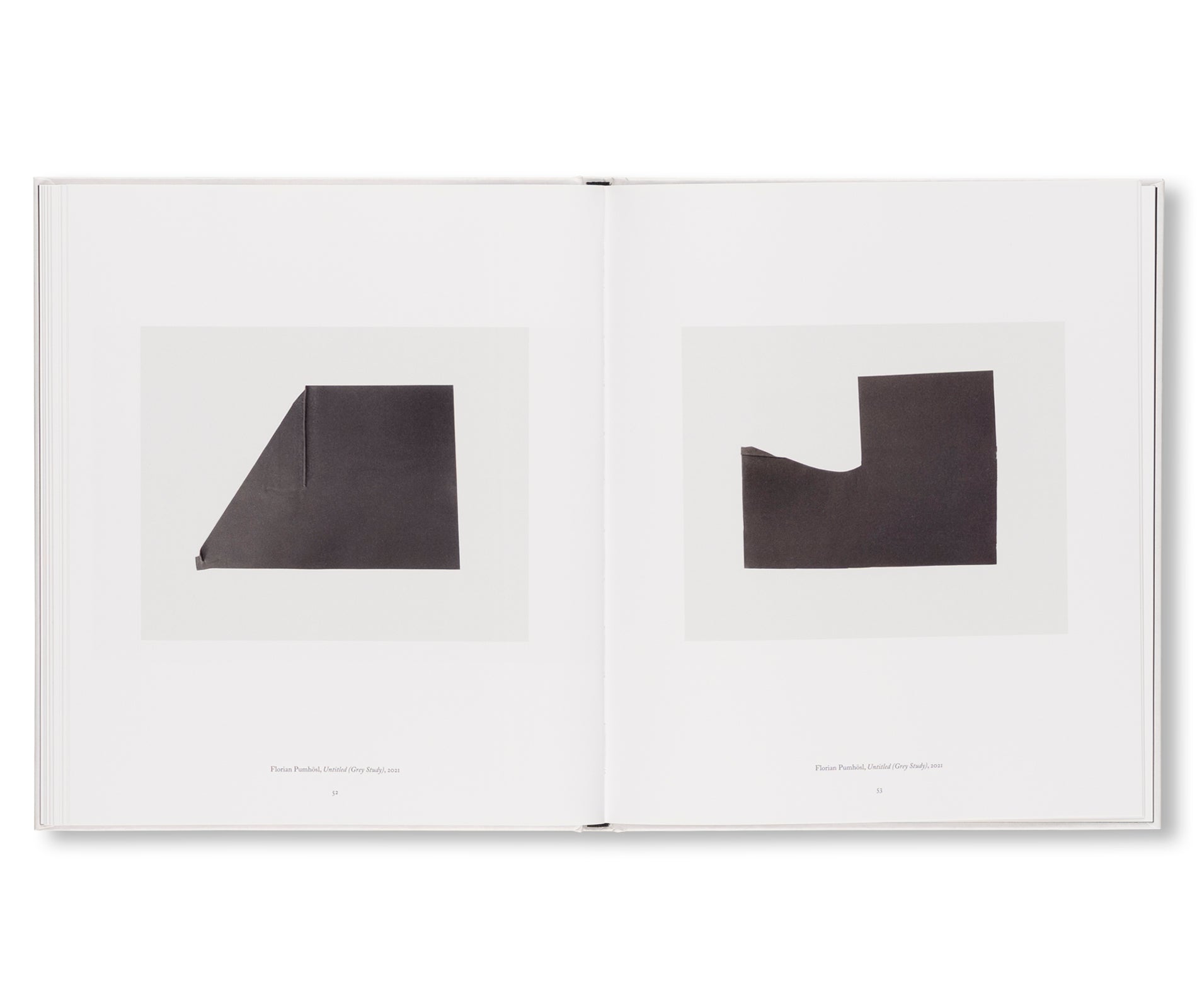 I HEAR THE ANCIENT MUSIC OF WORKS AND WORKS, YES, THAT’S IT. by Vincent Fecteau, Florian Pumhösl