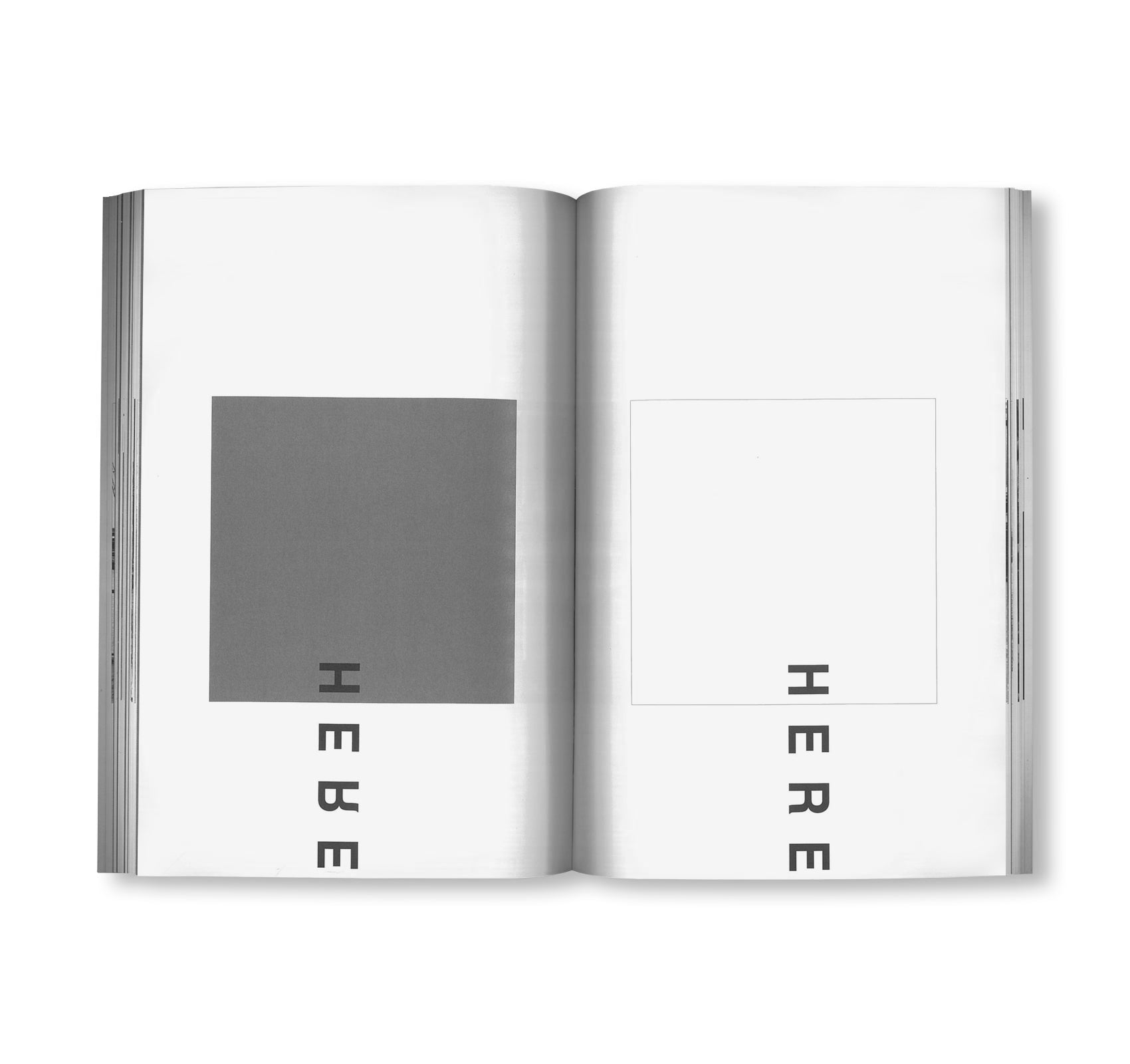 MANY by Peter Downsbrough