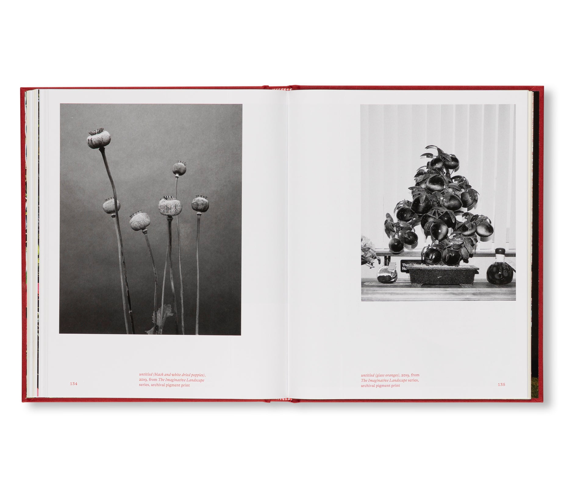 THE IMAGINATIVE LANDSCAPE by Pao Houa Her