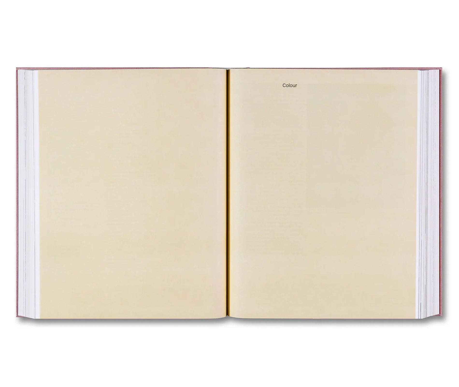 COLLECTED WORKS: VOLUME 3 2010–2020 by Caruso St John