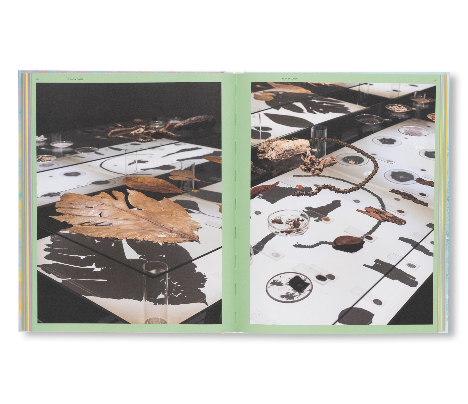 THE SENSES OF PLANTS