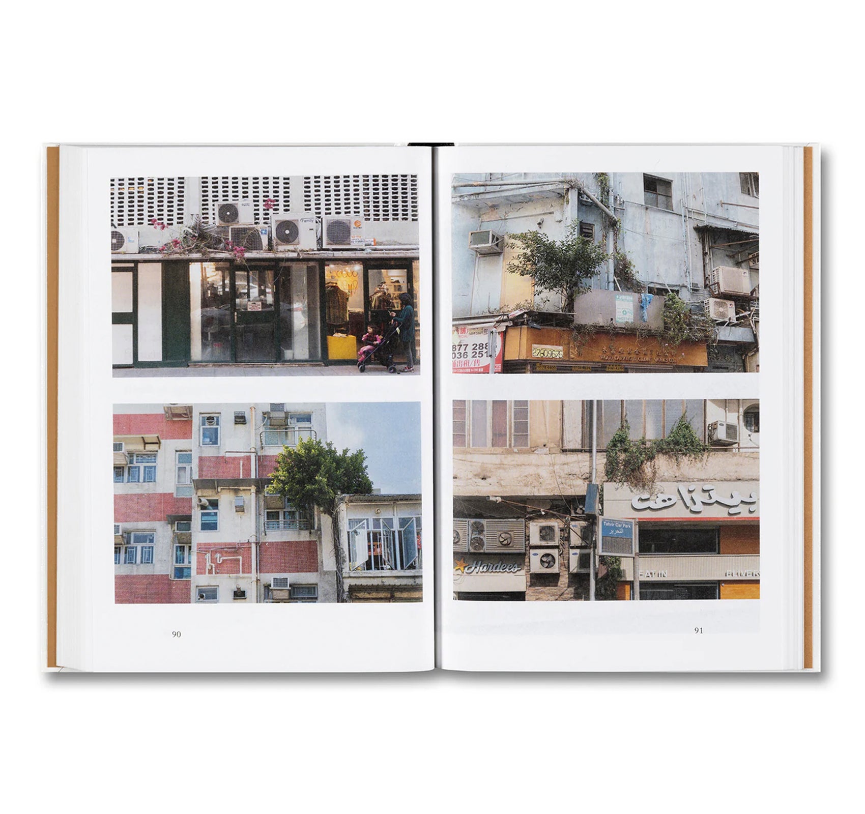 WEEDS: A GERMINATING THEORY by Kwan Queenie Li