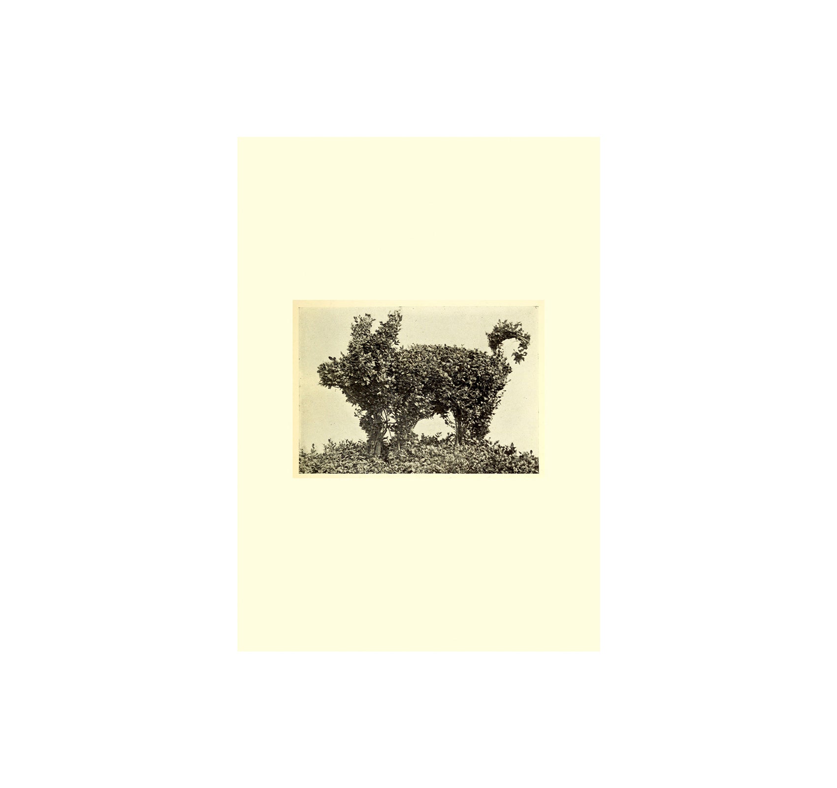 THESAURUS OF CHILD ECOLOGY