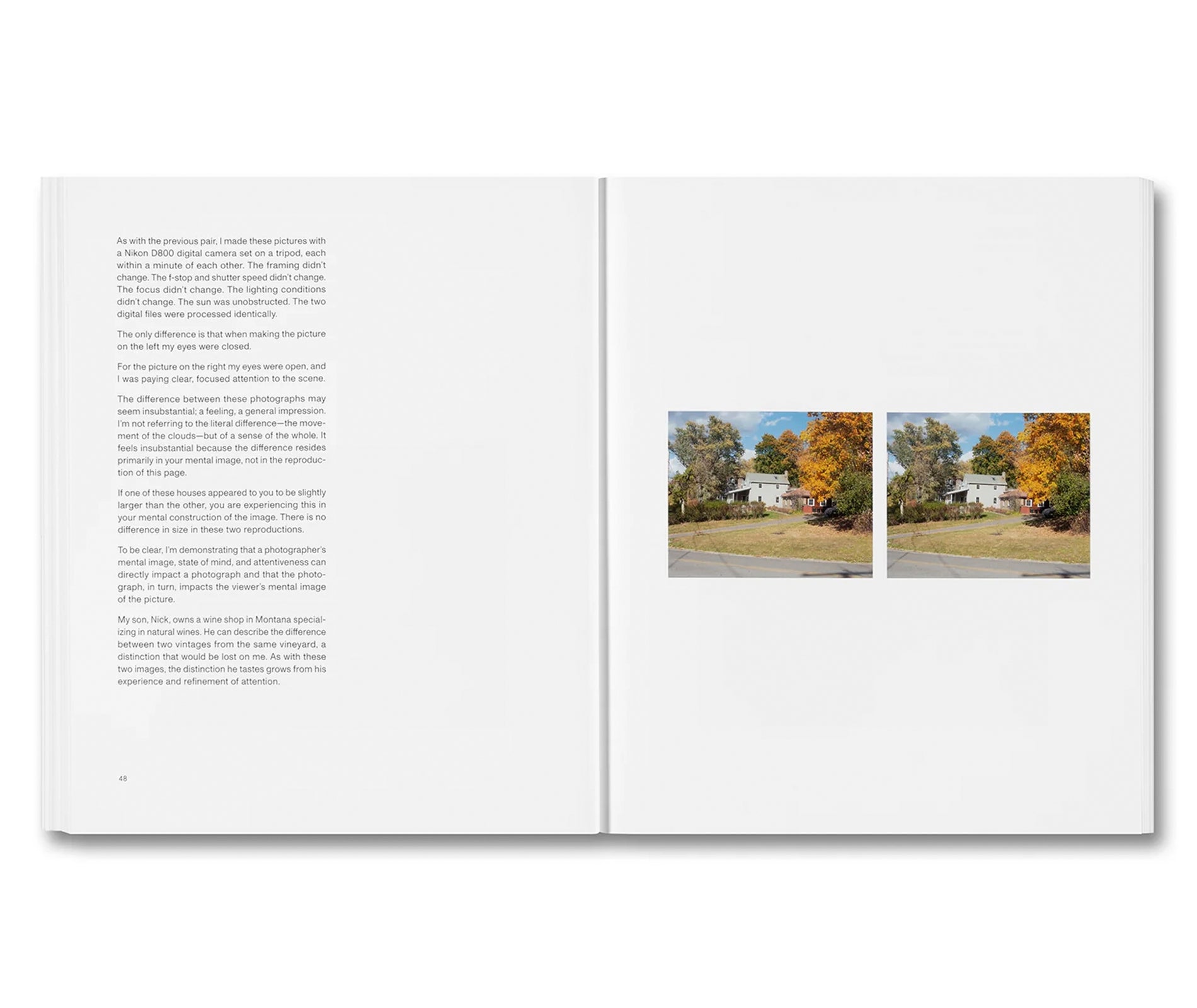 THE MENTAL IMAGE by Stephen Shore