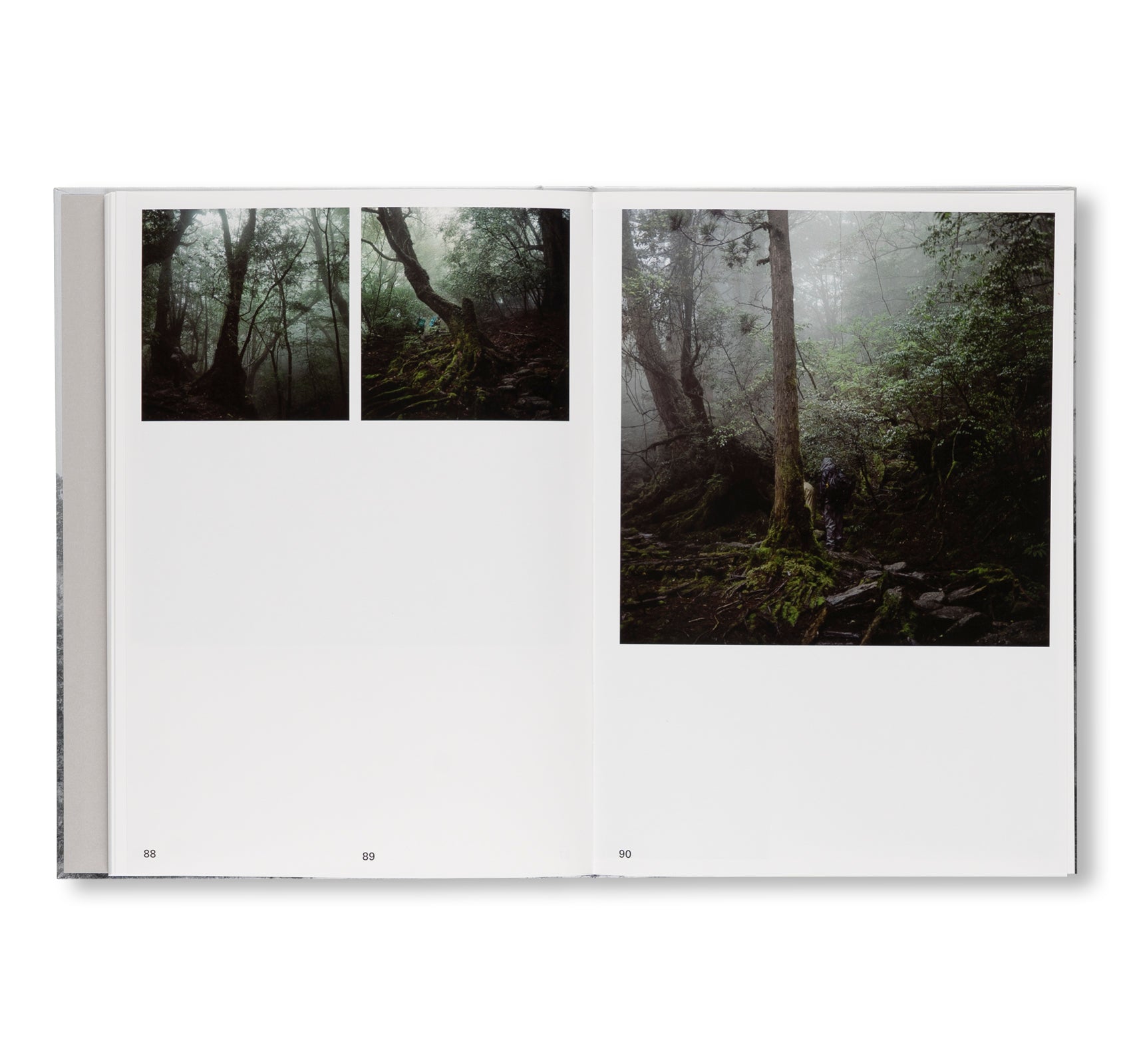 PRESENCE by Keiko Sasaoka