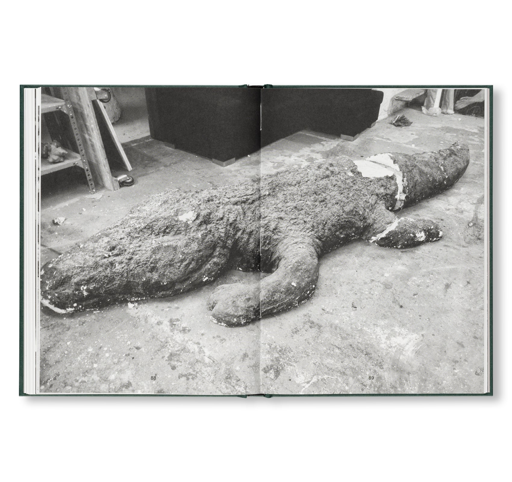 ANDERS BRINCH THE INNER LANDSCAPE by Lars Schwander