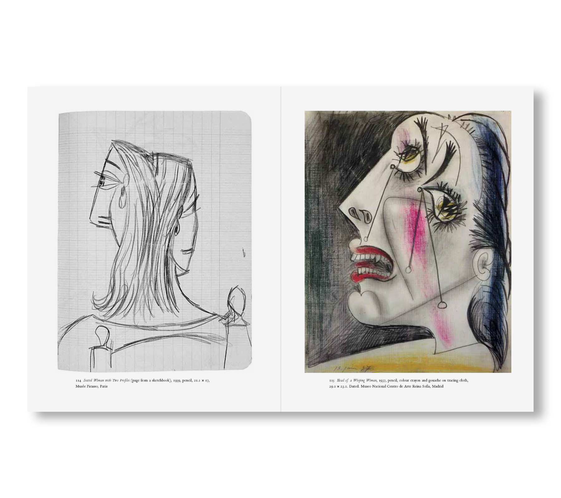 PICASSO AND THE ART OF DRAWING by Pablo Picasso