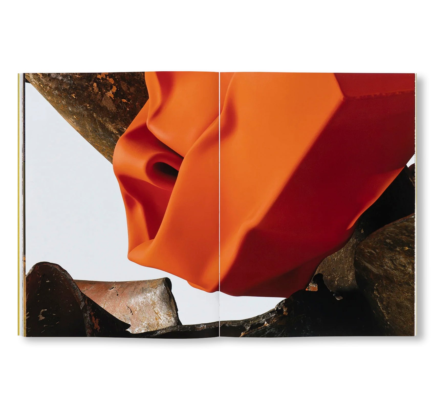 CAROL BOVE by Carol Bove (GUGGENHEIM MUSEUM)