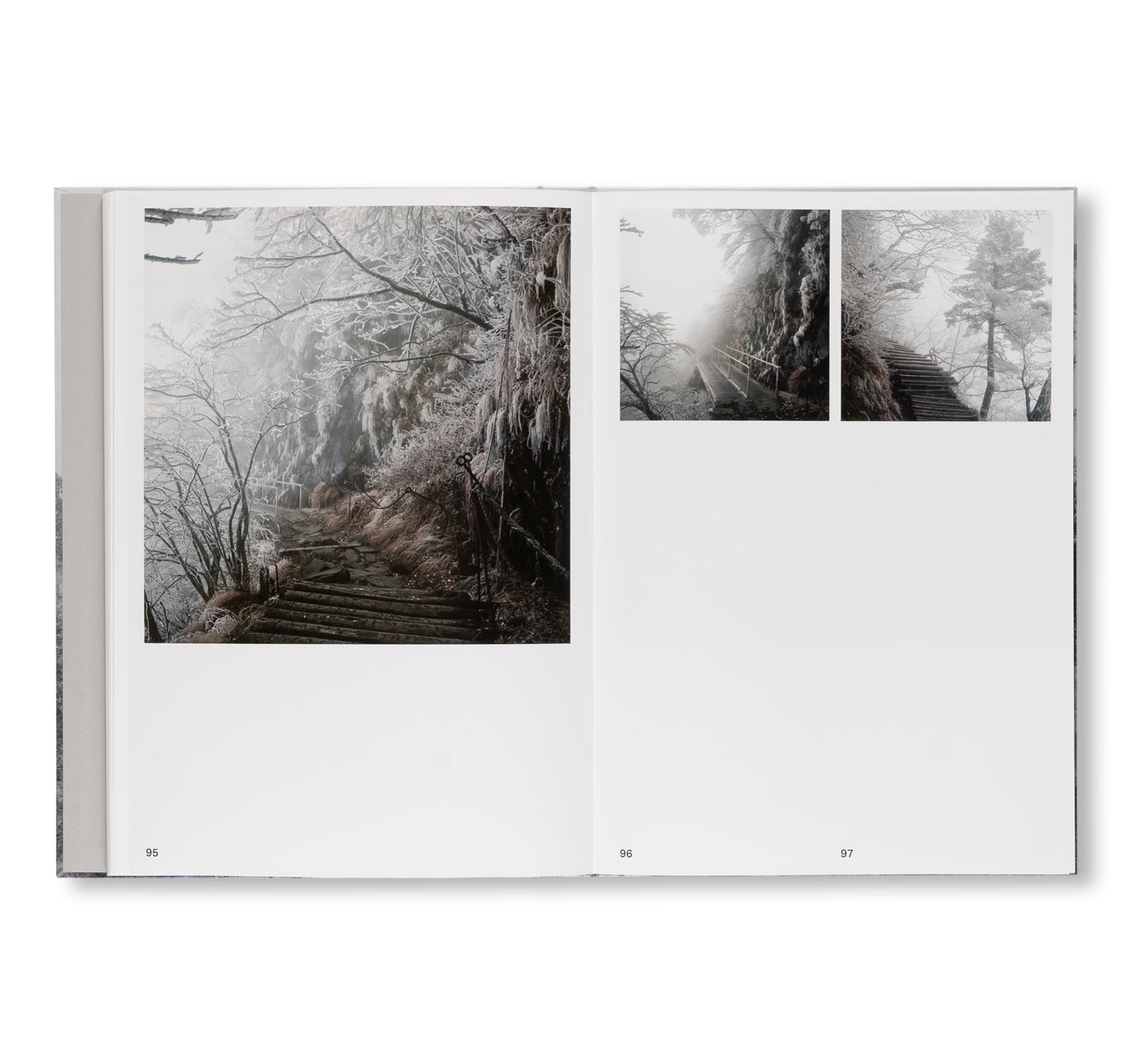 PRESENCE by Keiko Sasaoka