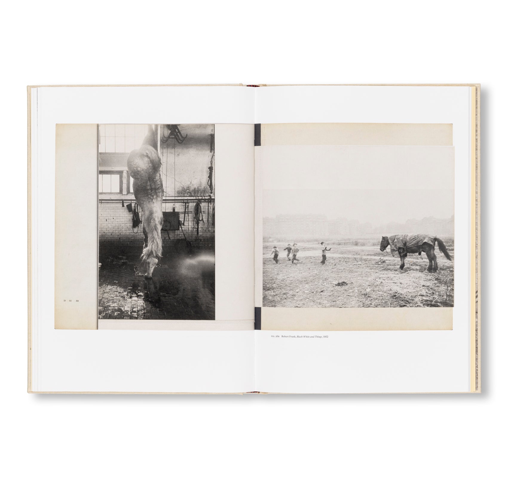 MARY’S BOOK by Robert Frank