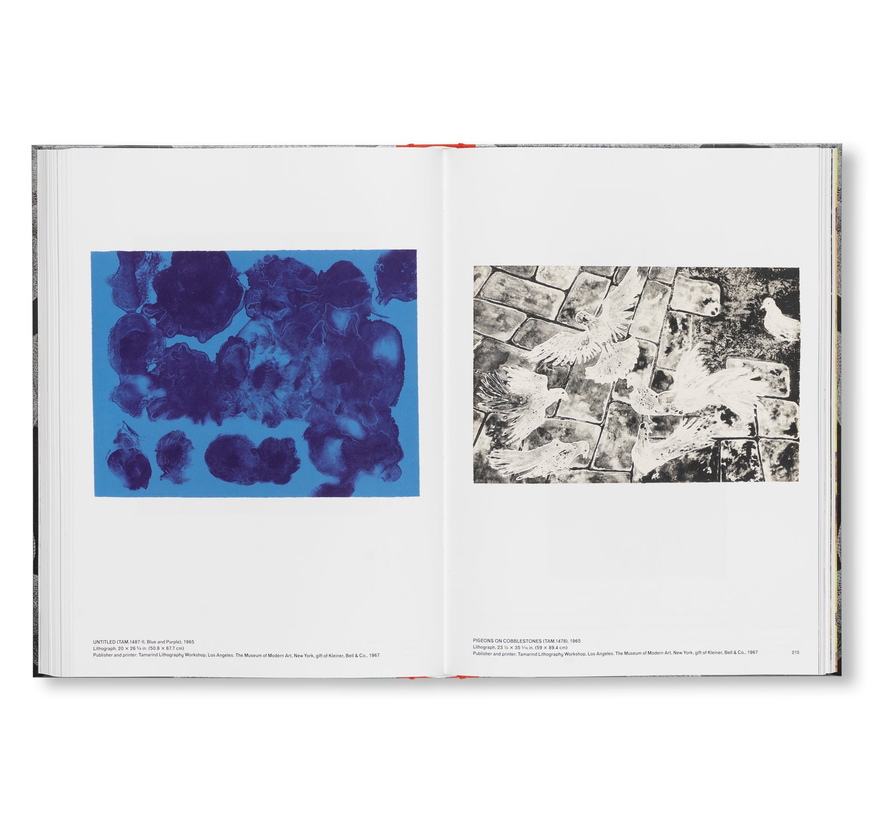RETROSPECTIVE by Ruth Asawa